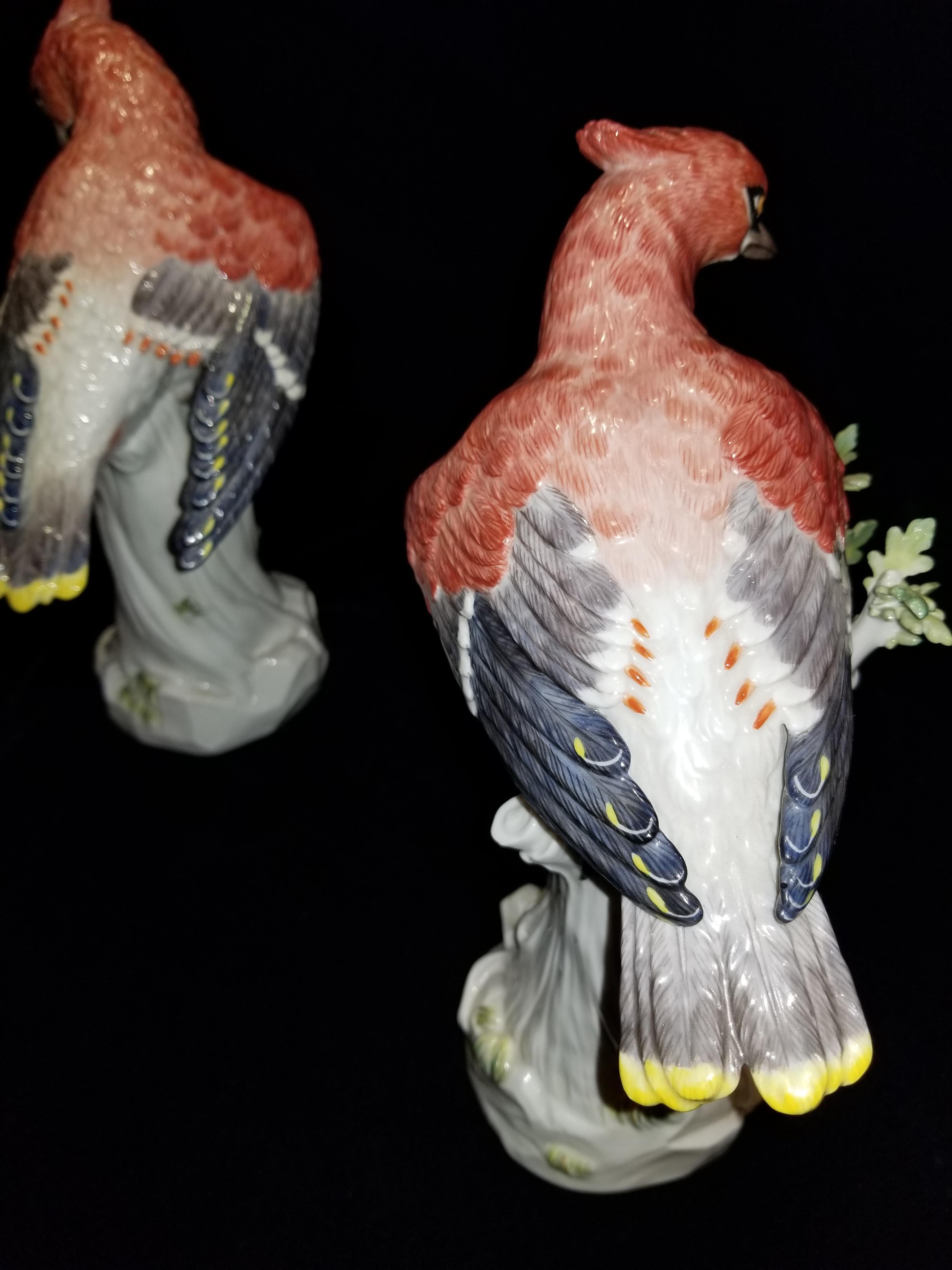 Pair of Meissen Porcelain Figures of Waxwing, Att. J.J. Kändler and J.G. Ehder  In Excellent Condition In New York, NY
