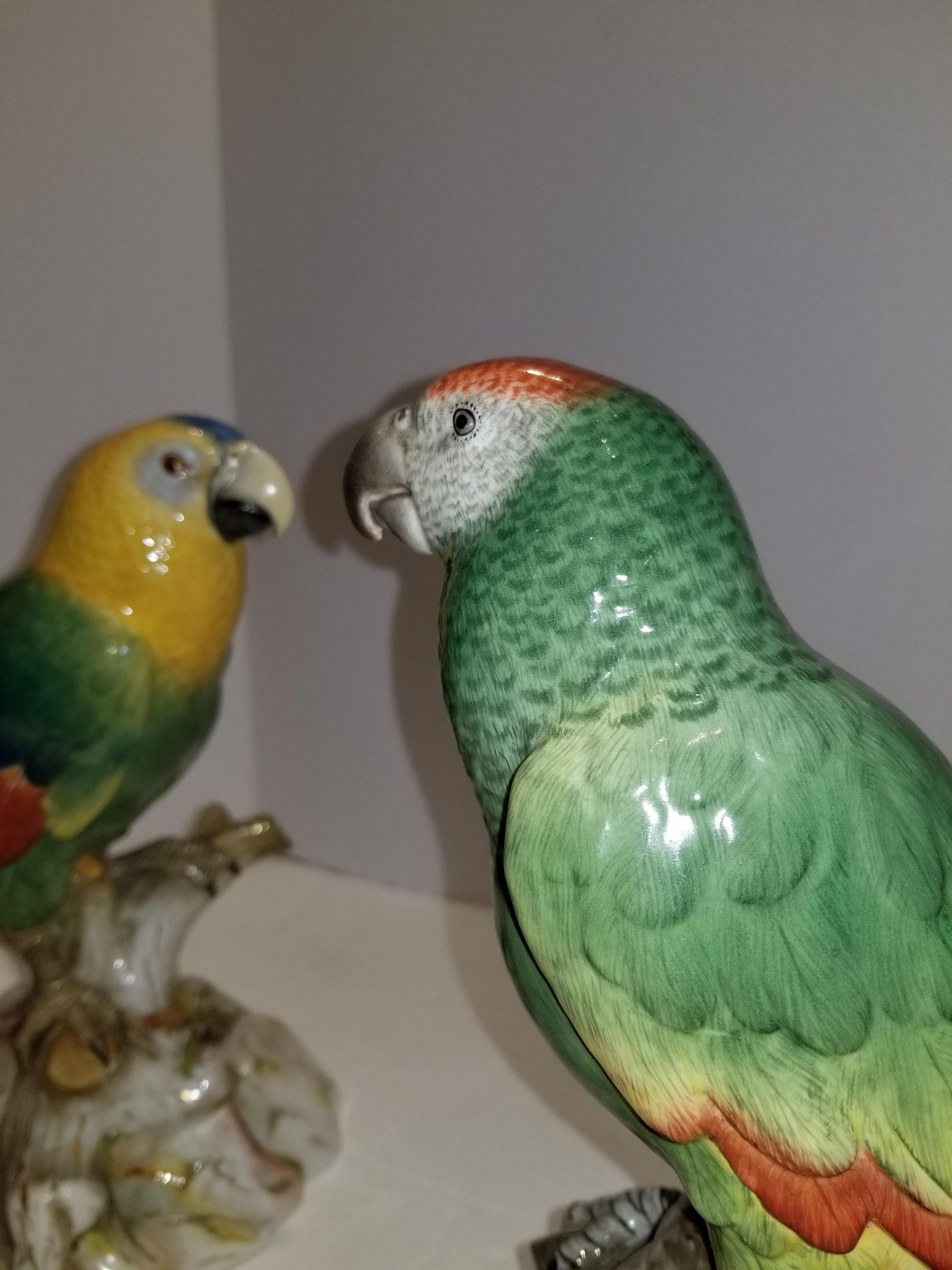 Pair of Meissen Porcelain Models of Parrots 3