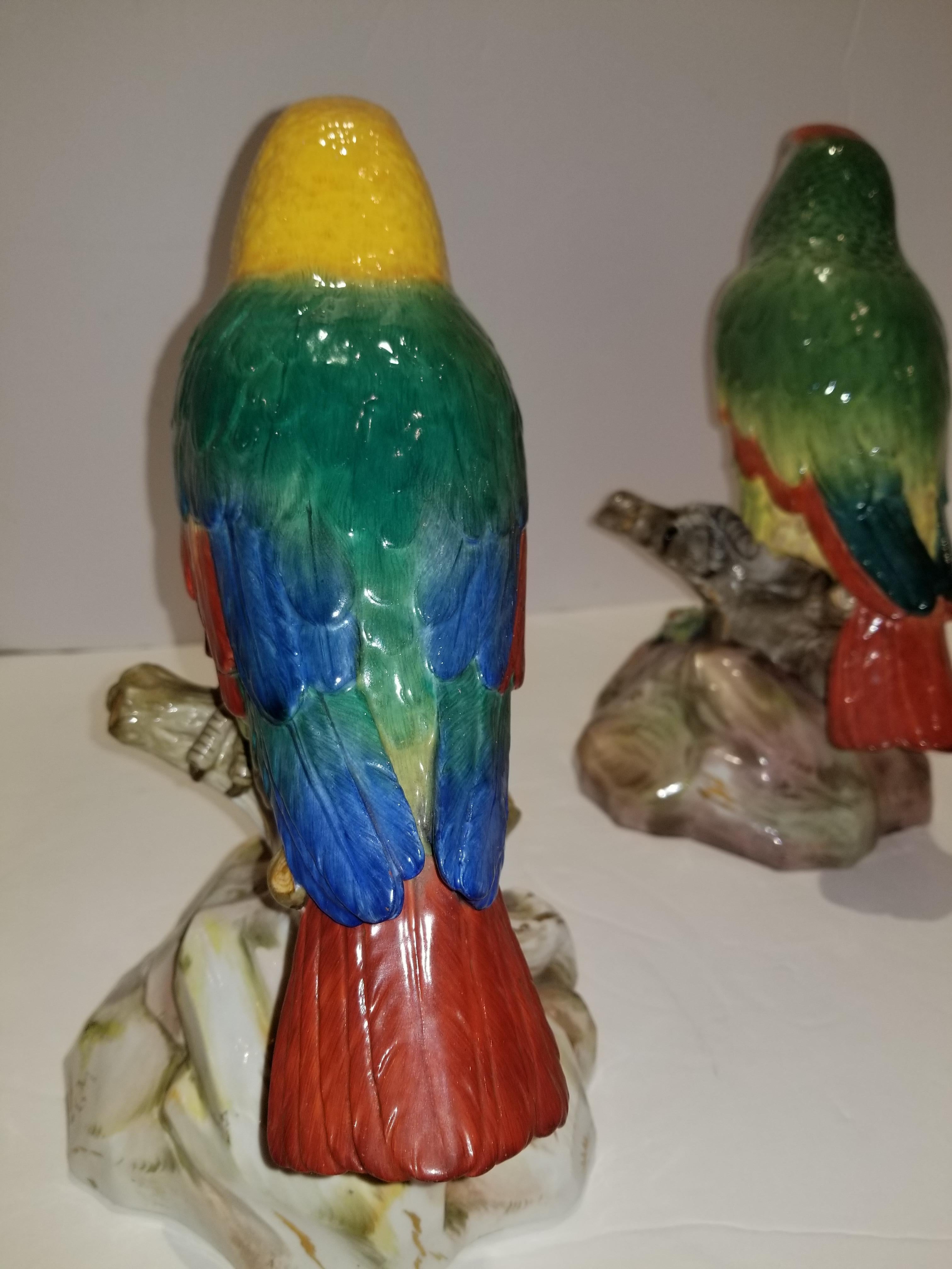 Pair of Meissen Porcelain Models of Parrots 4