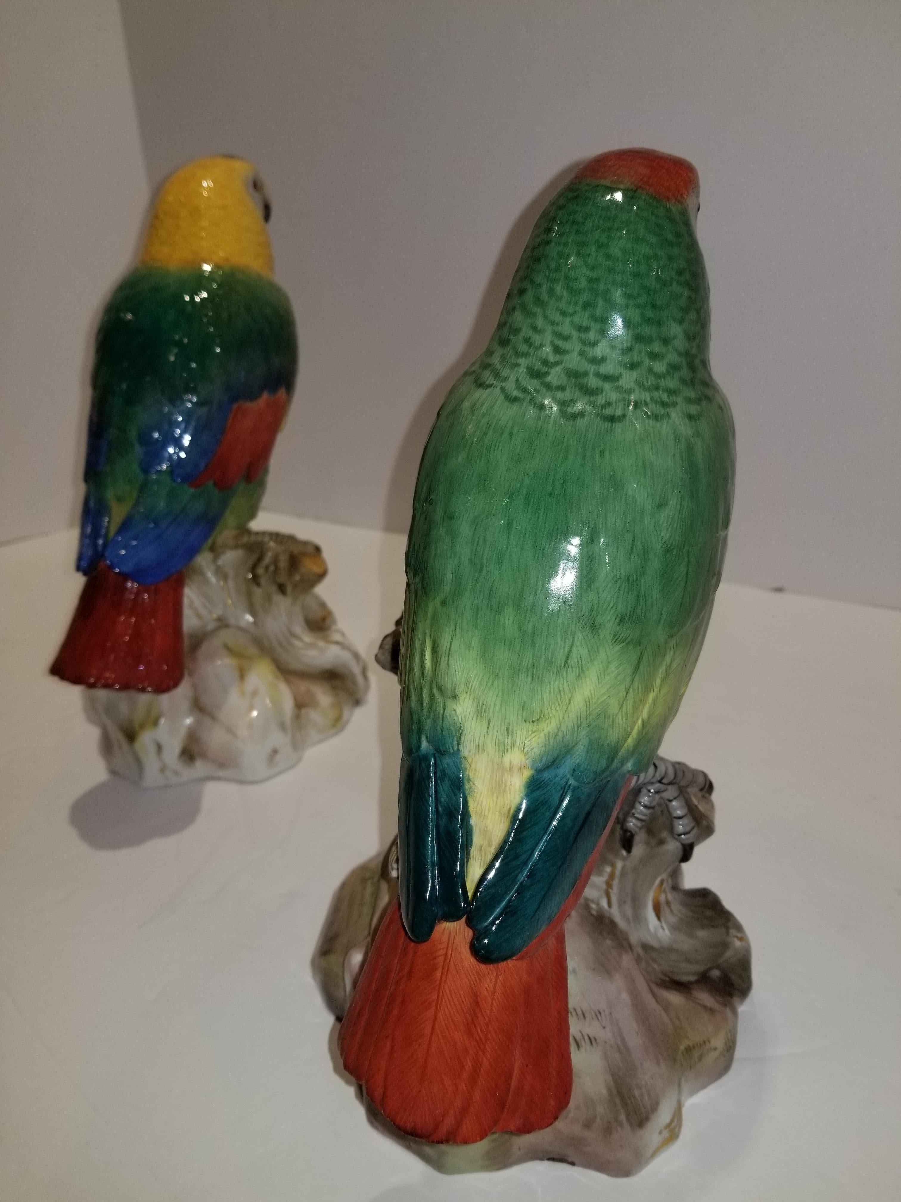 Pair of Meissen Porcelain Models of Parrots 5