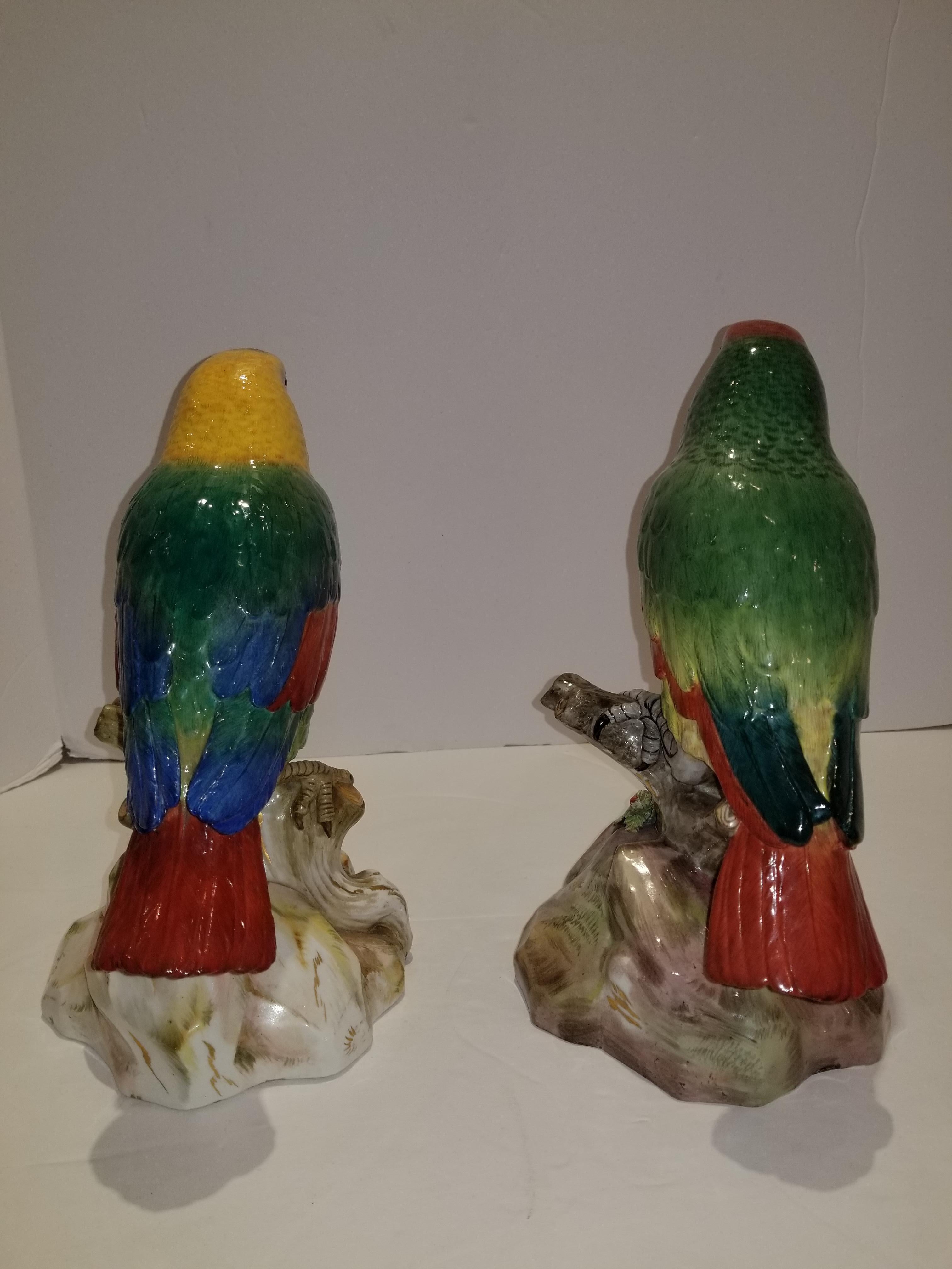 Pair of Meissen Porcelain Models of Parrots 6
