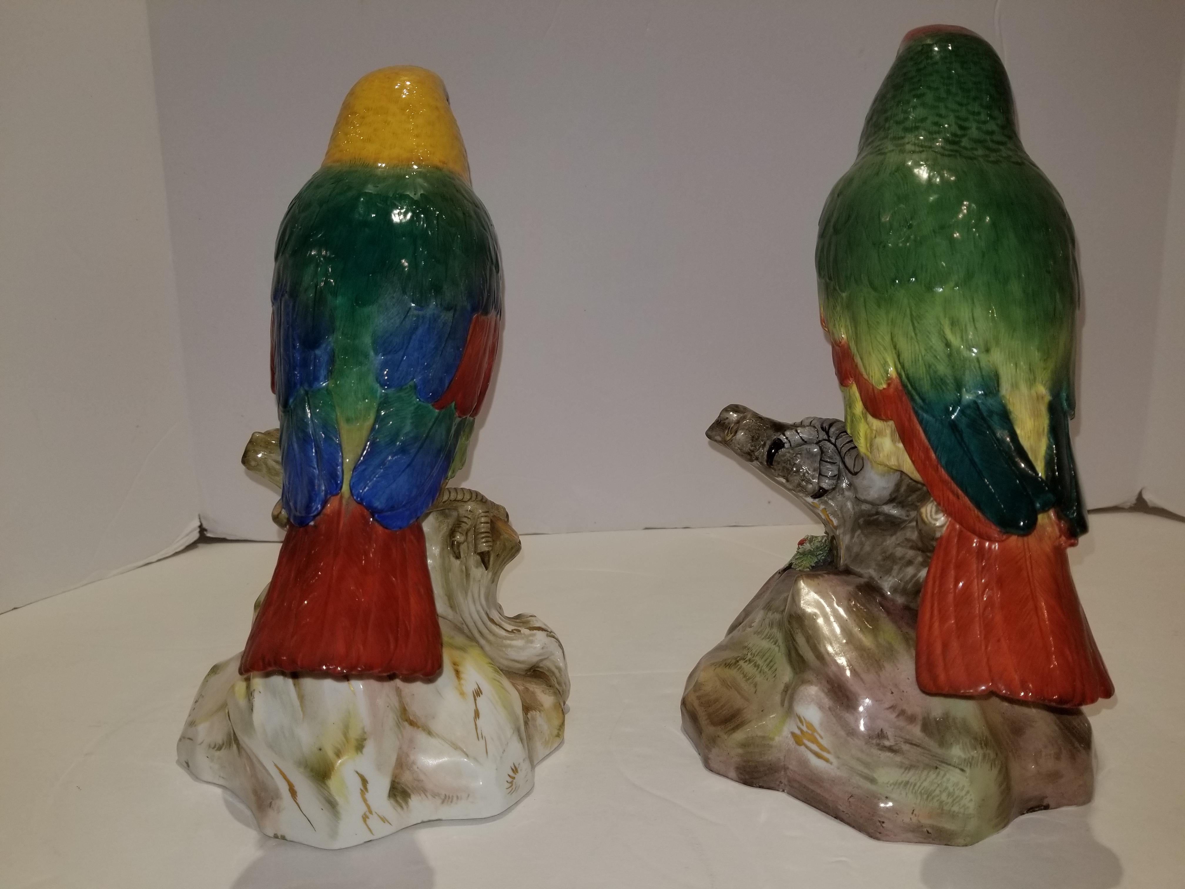 Pair of Meissen Porcelain Models of Parrots 7