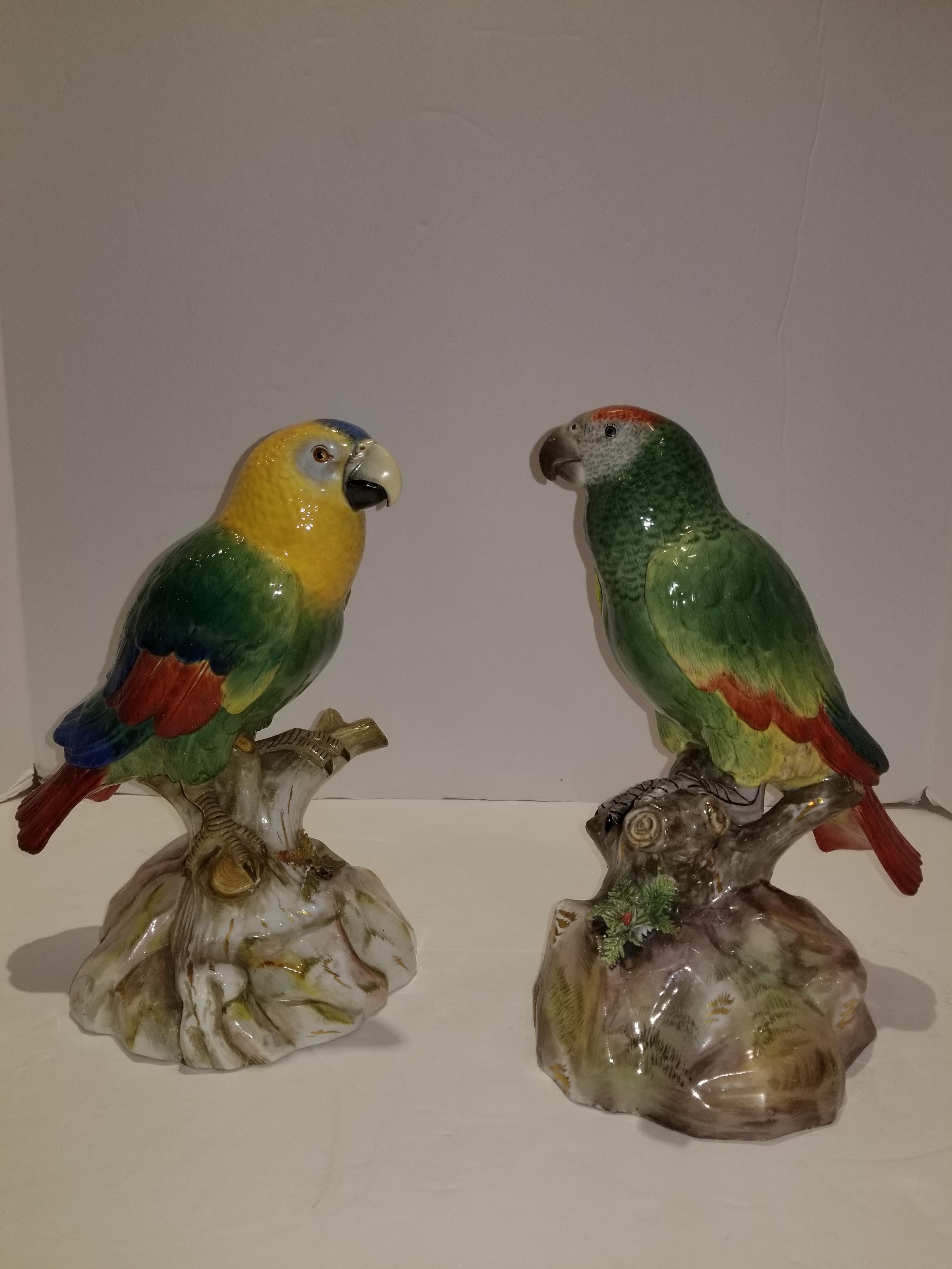 Pair of Meissen Porcelain models of parrots. Each naturalistically modeled perched on a tree-stump and rockwork base enriched in gilt. Impeccable quality, very finely hand carved and engraved and exquisitely hand-painted in polychrome colors,
