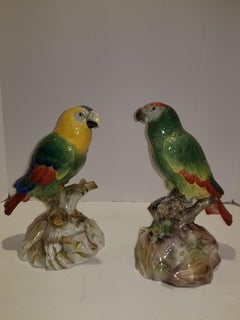 Pair of Meissen Porcelain Models of Parrots