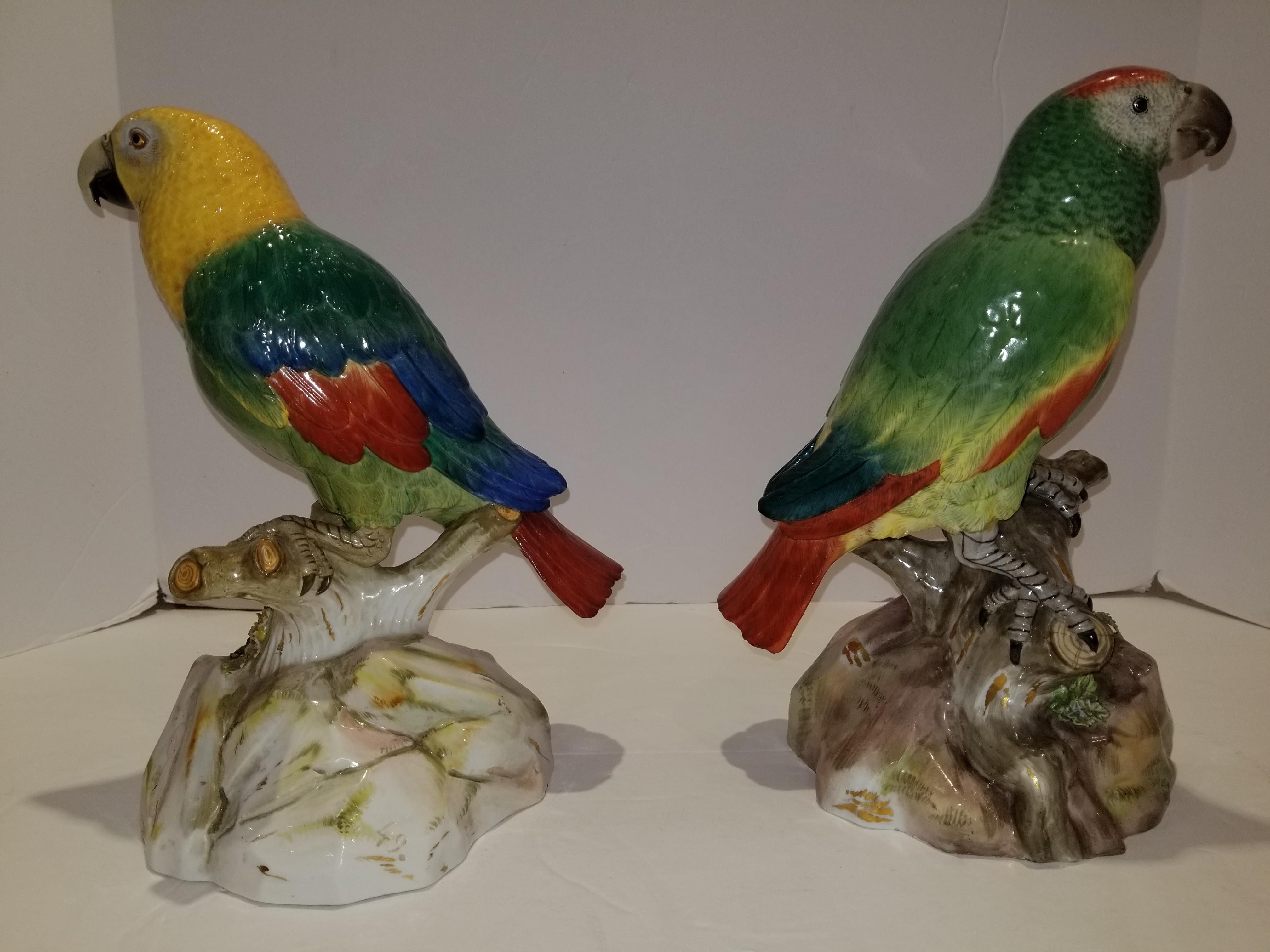 German Pair of Meissen Porcelain Models of Parrots