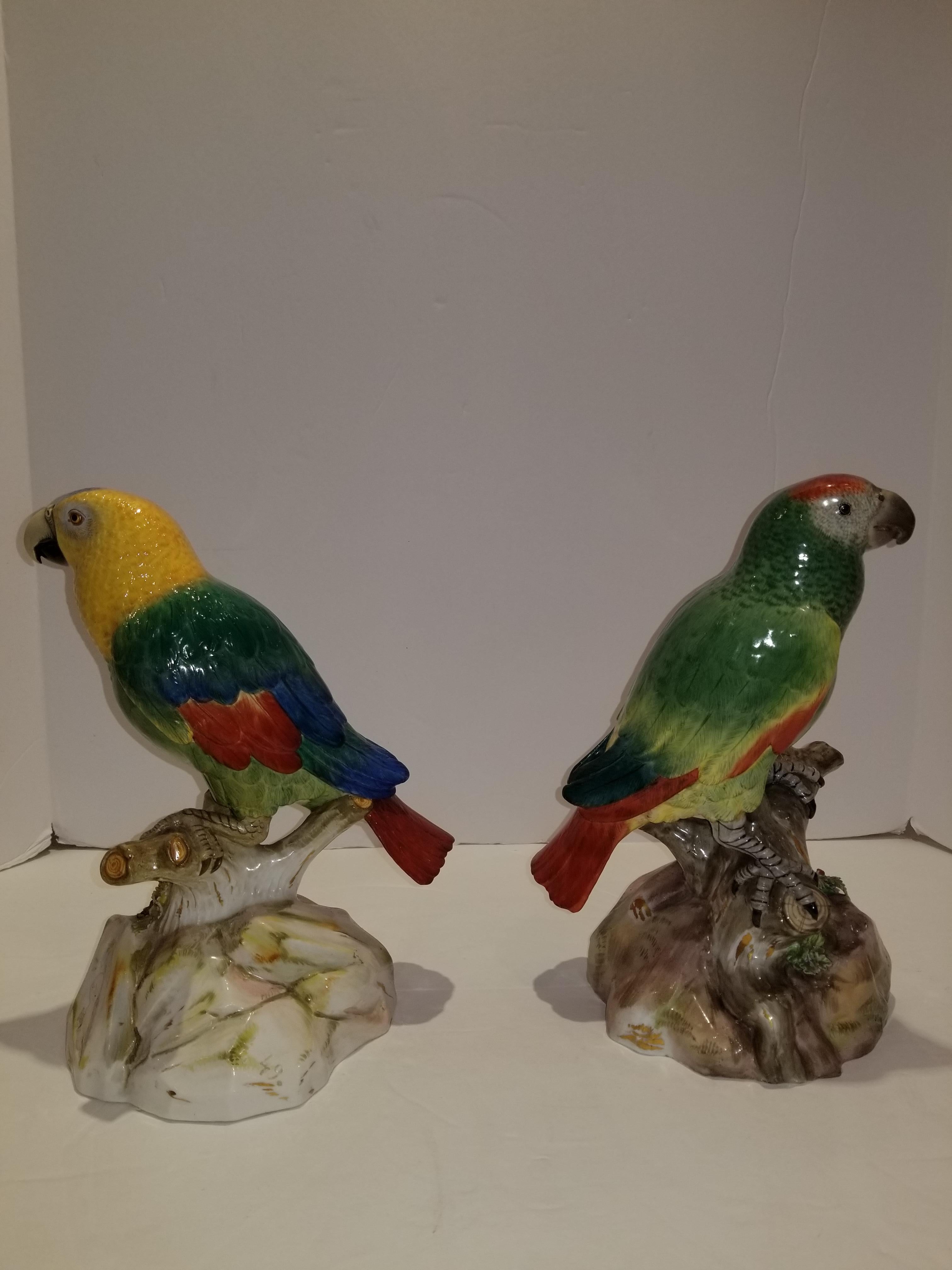 Hand-Painted Pair of Meissen Porcelain Models of Parrots