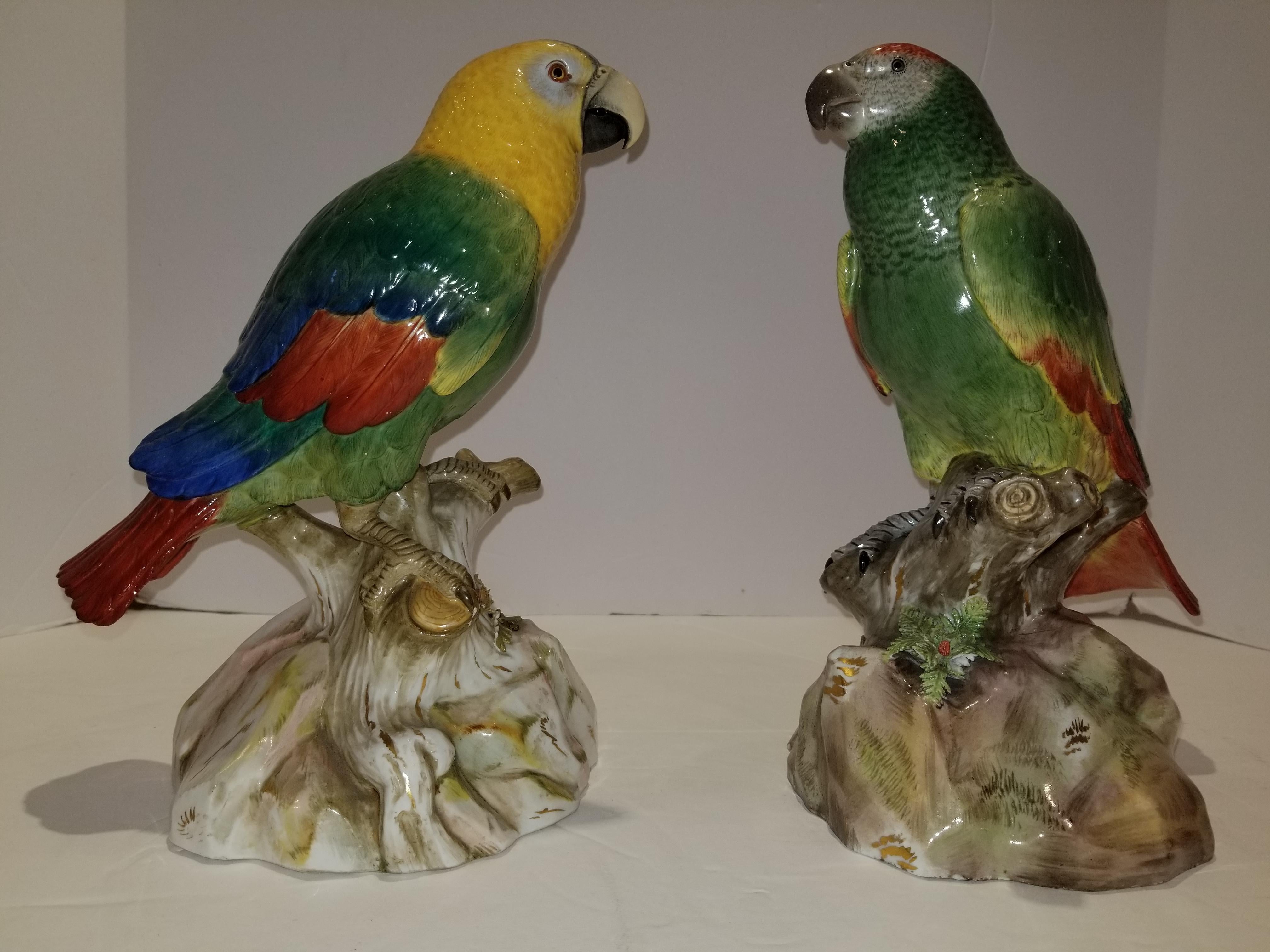 Pair of Meissen Porcelain Models of Parrots In Excellent Condition In New York, NY