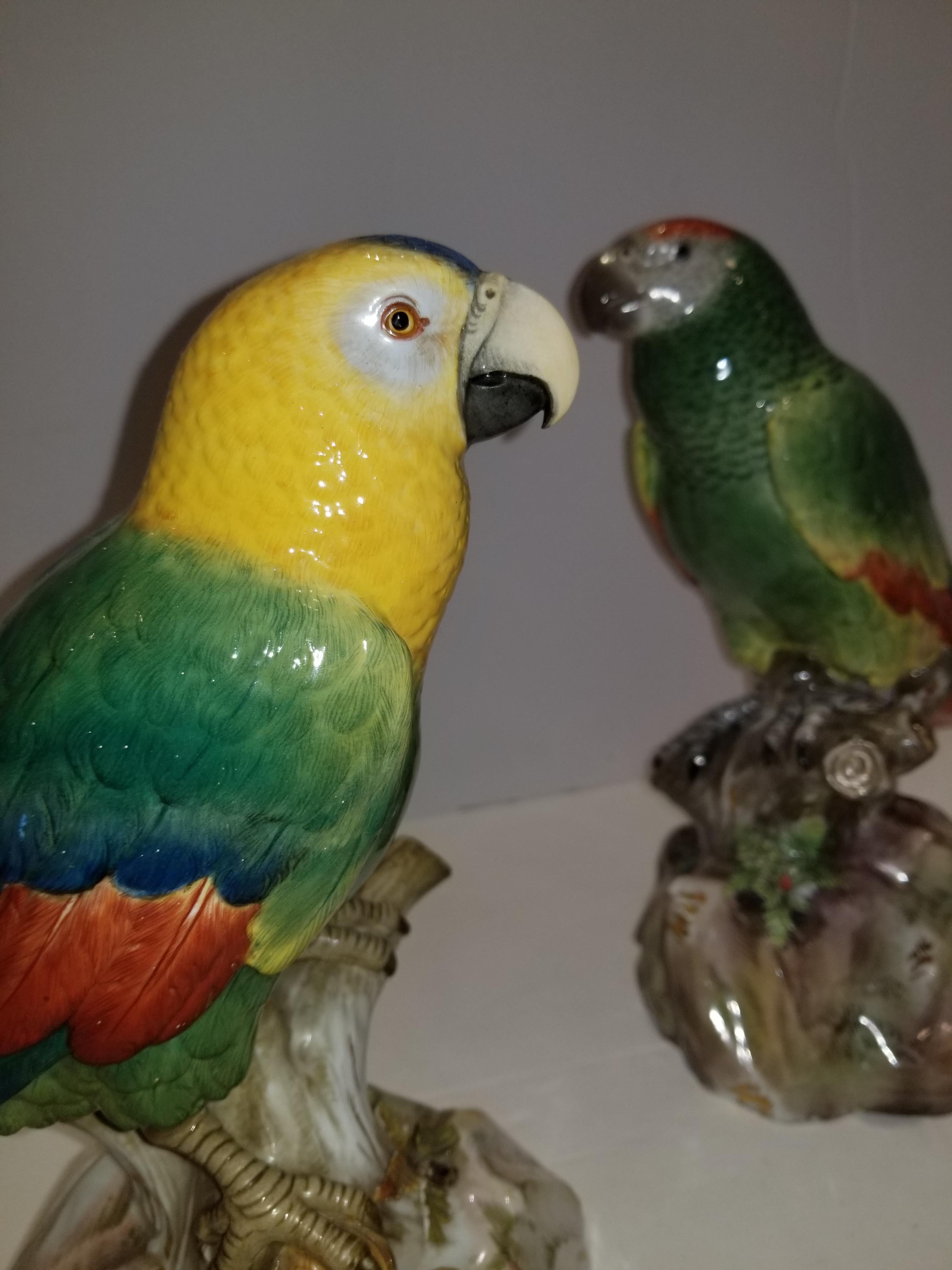 19th Century Pair of Meissen Porcelain Models of Parrots