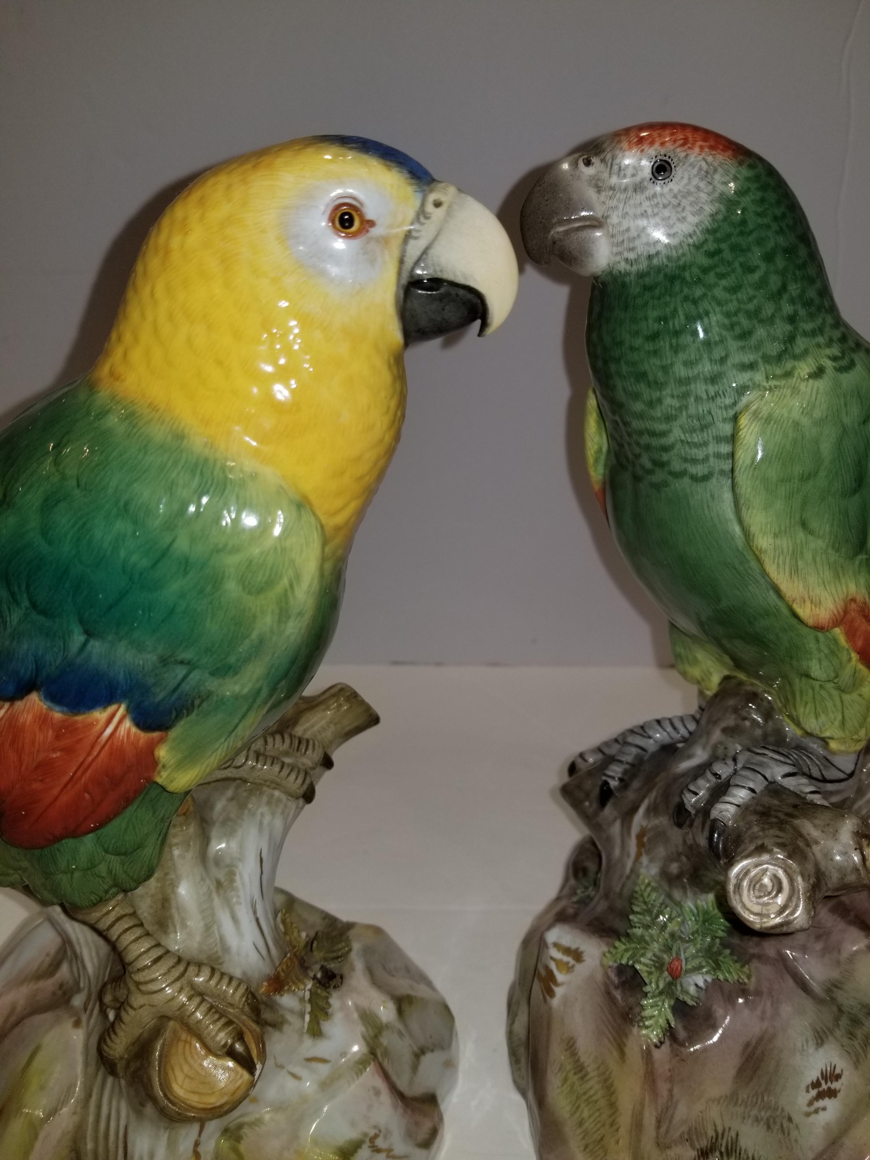 Pair of Meissen Porcelain Models of Parrots 2