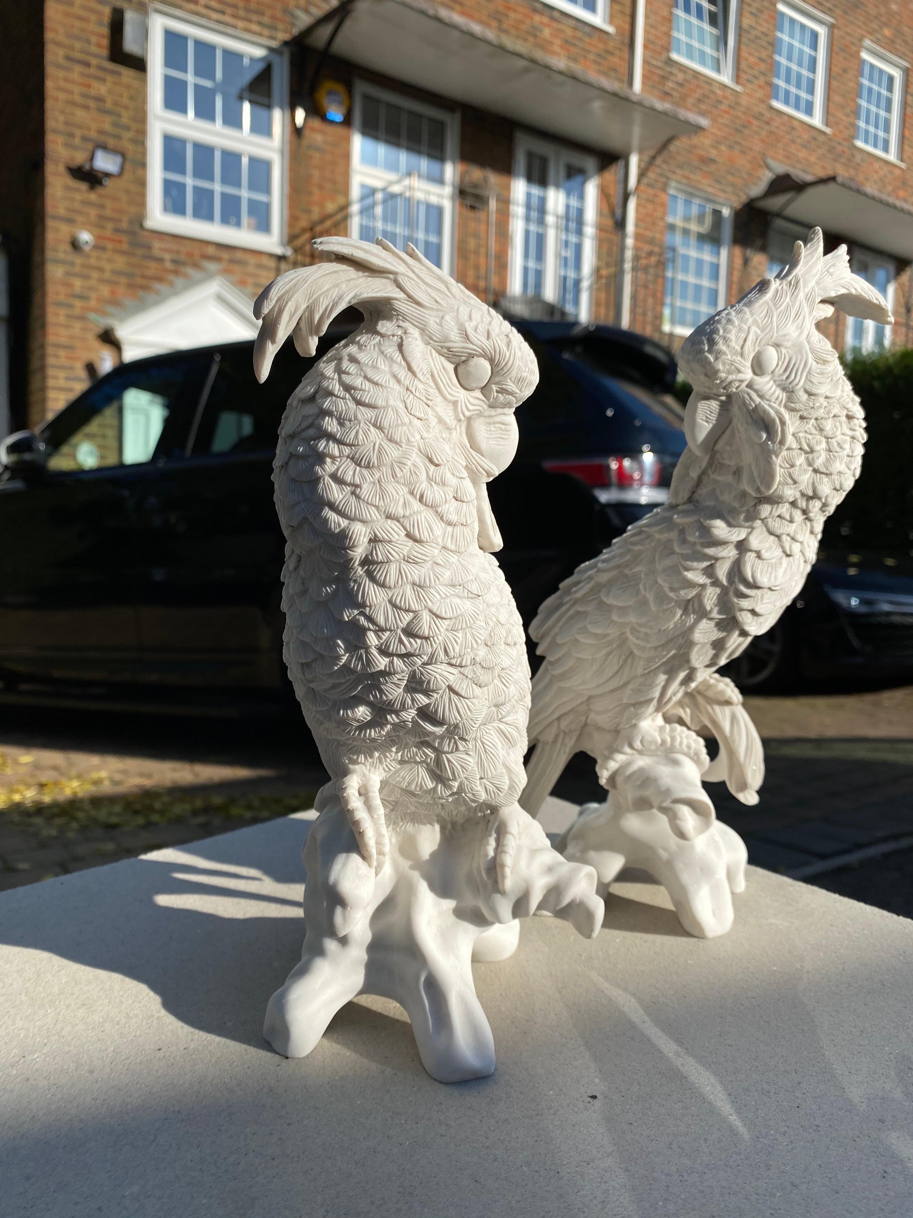 Pair of Meissen Porcelain Parrots - 20th Century 5