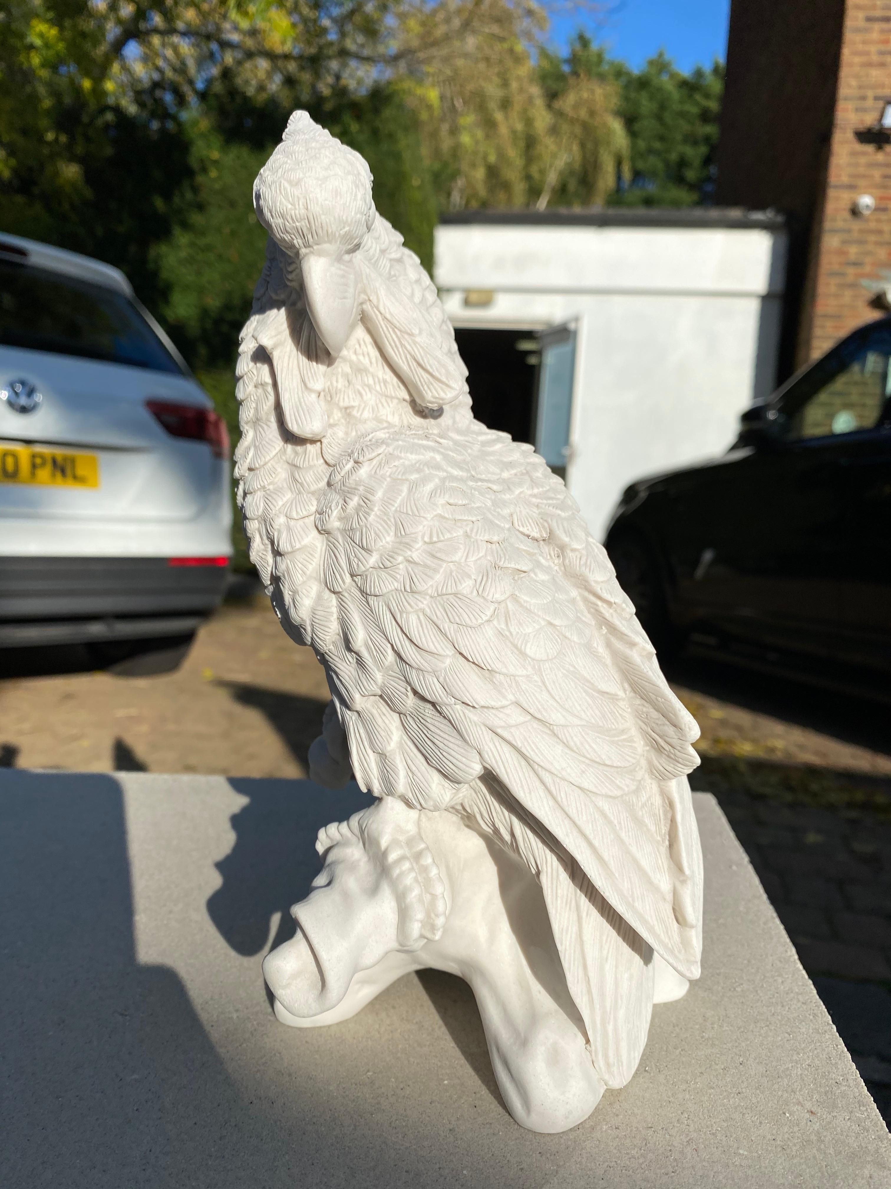 English Pair of Meissen Porcelain Parrots - 20th Century