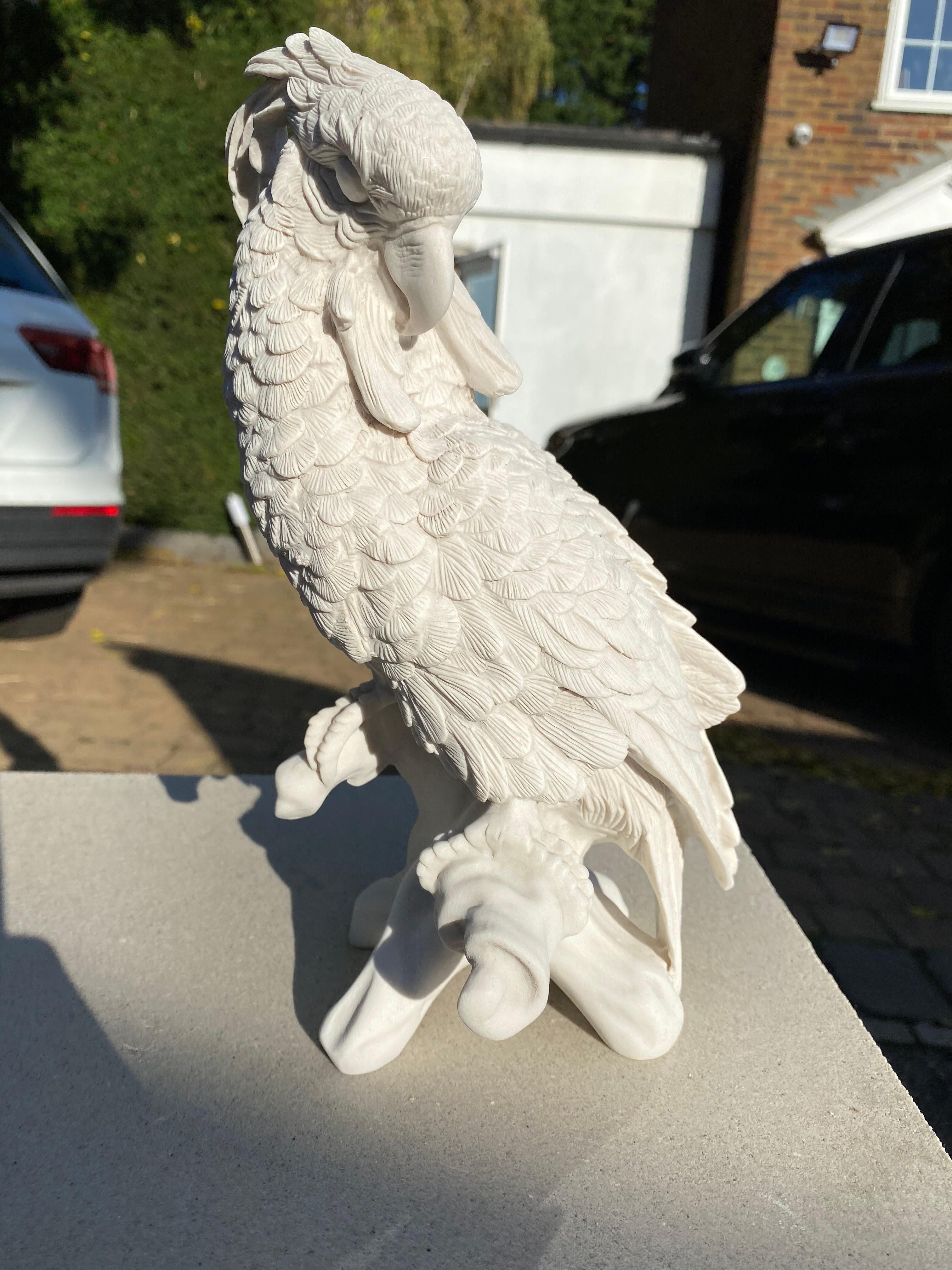 Pair of Meissen Porcelain Parrots - 20th Century In Excellent Condition In Southall, GB