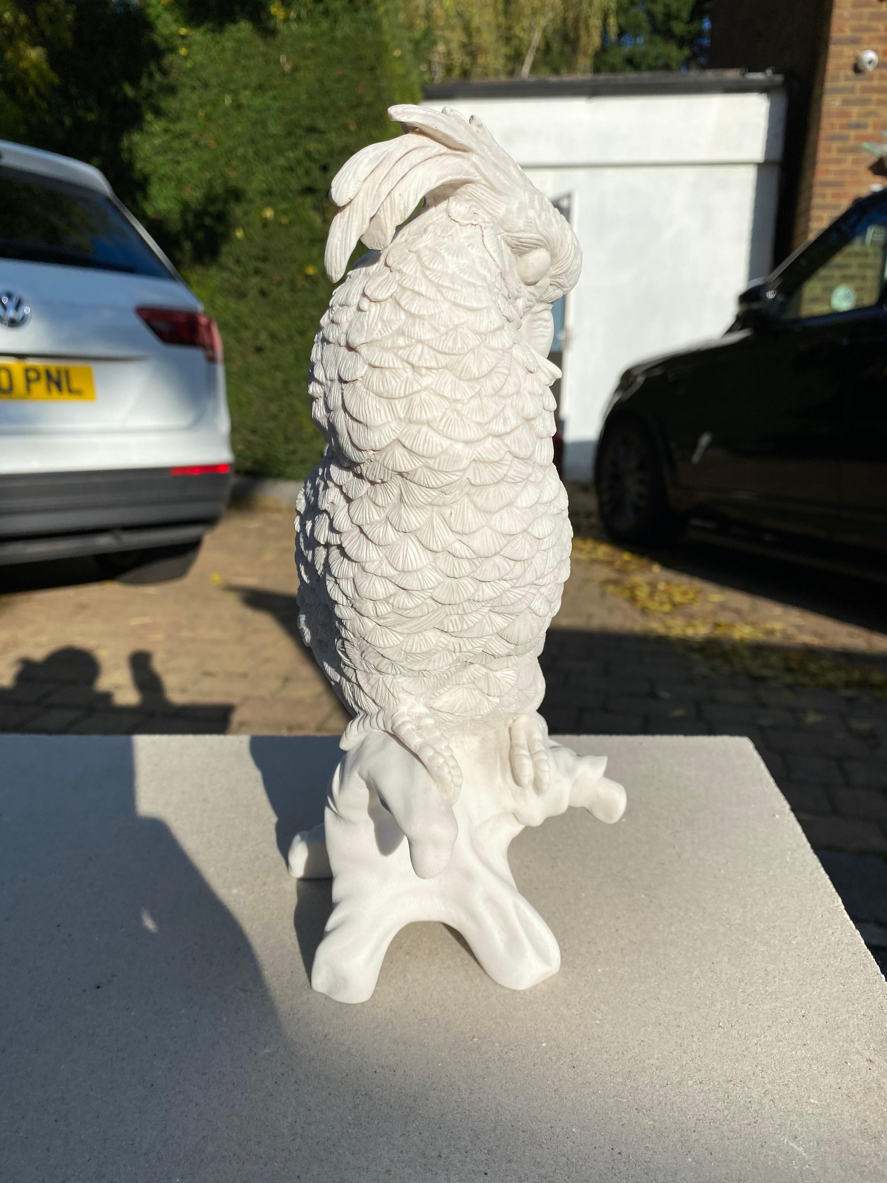 Marble Pair of Meissen Porcelain Parrots - 20th Century
