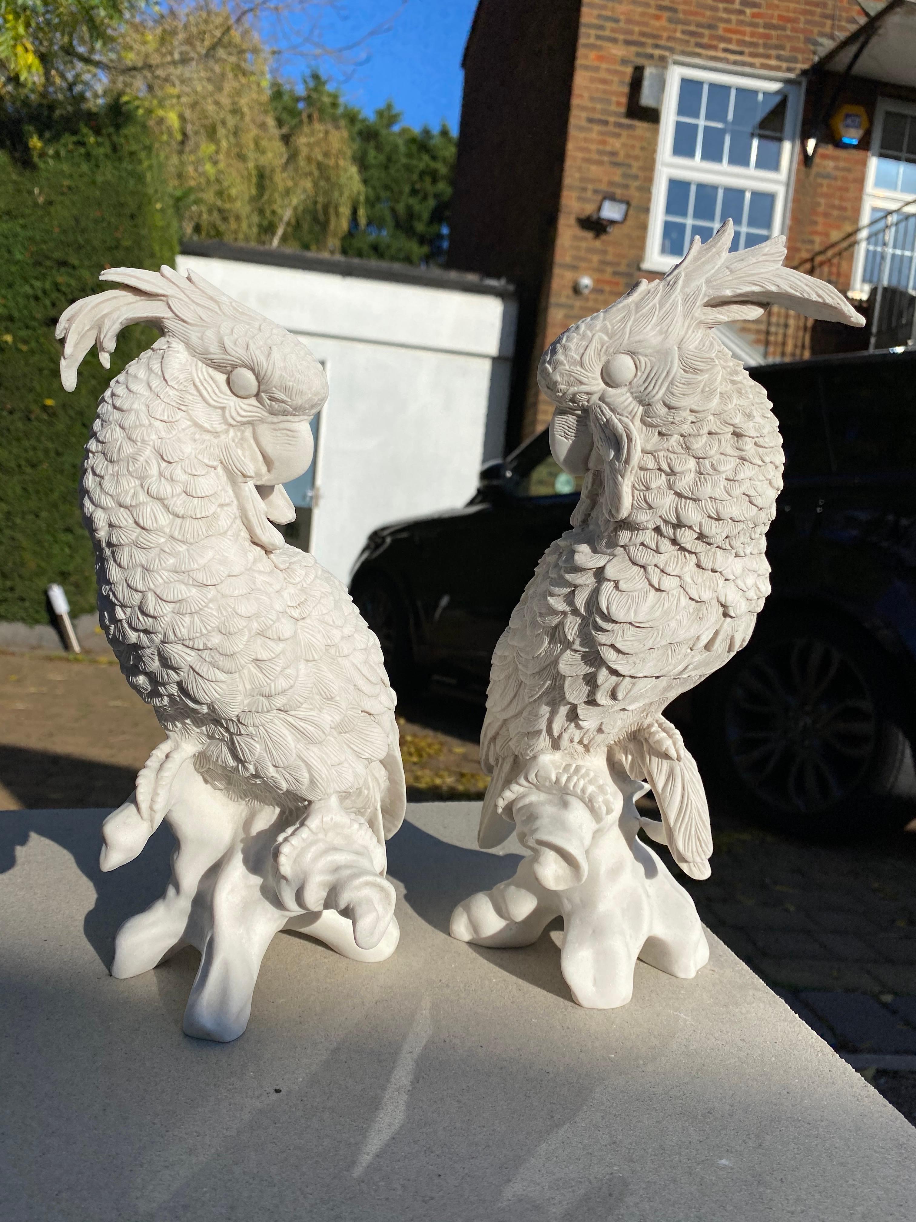 Pair of Meissen Porcelain Parrots - 20th Century 3
