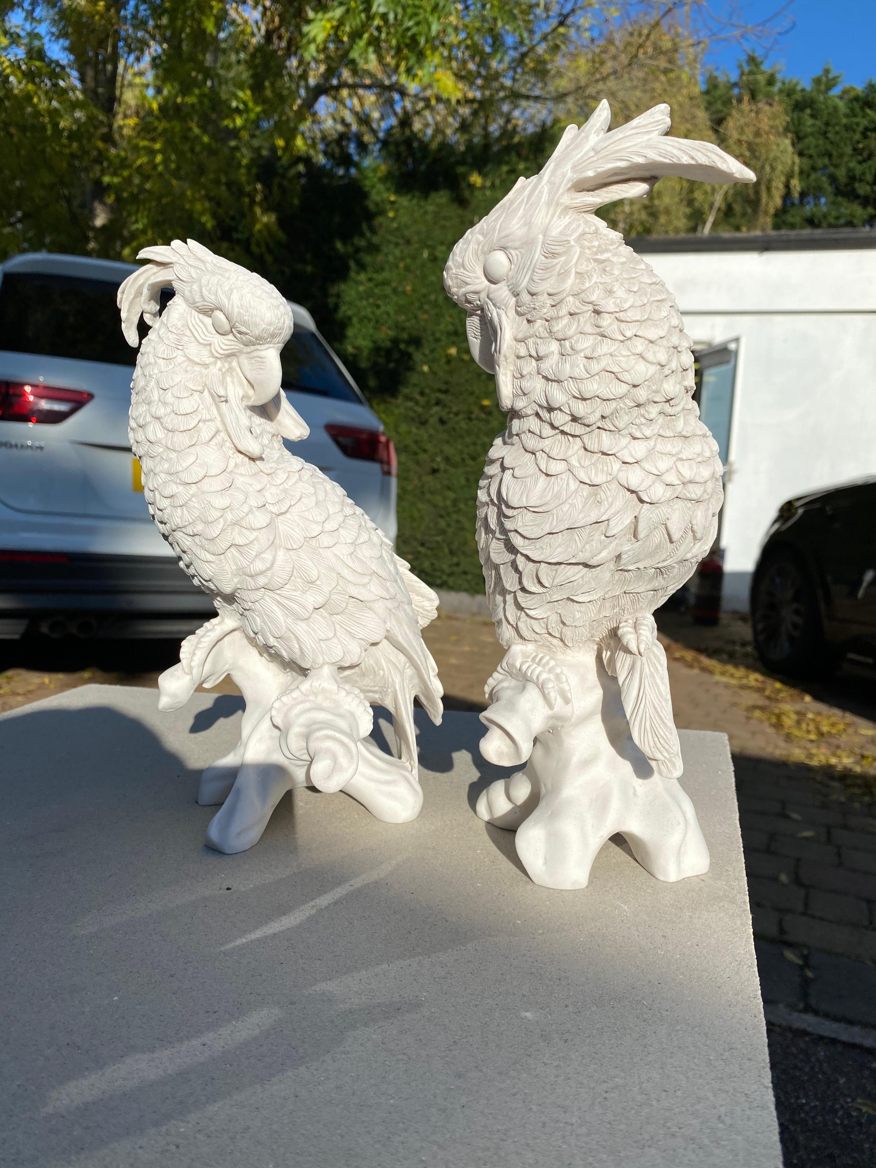 Pair of Meissen Porcelain Parrots - 20th Century 4