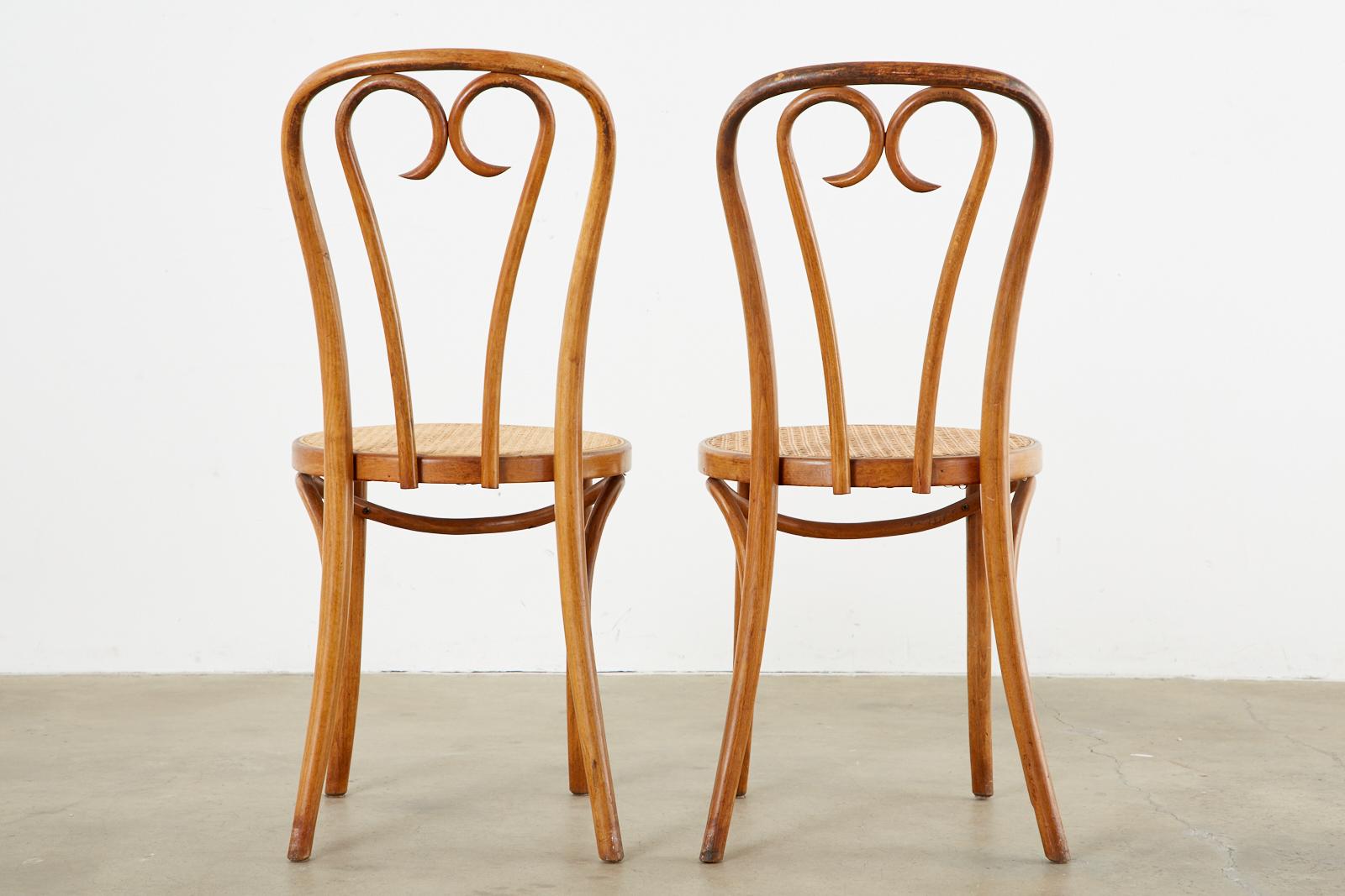 Pair of Michael Thonet A16 Style Bentwood Cafe Chairs 9