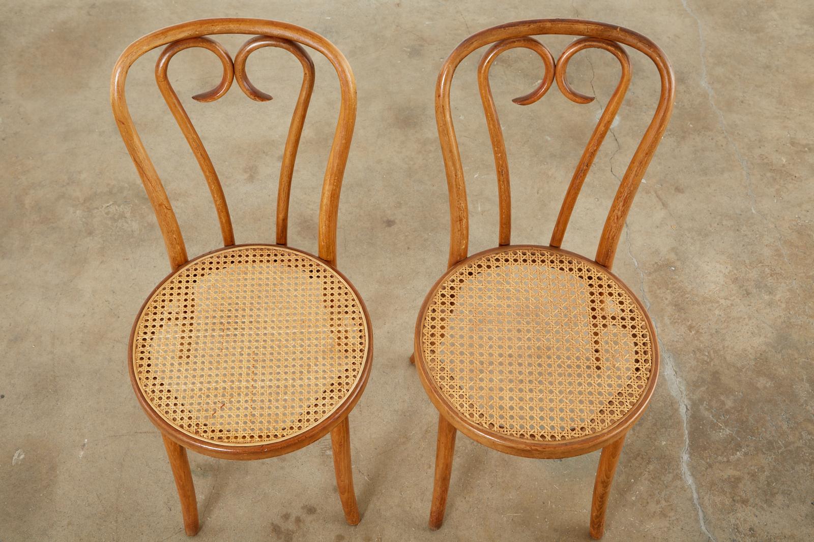 thonet cafe chair