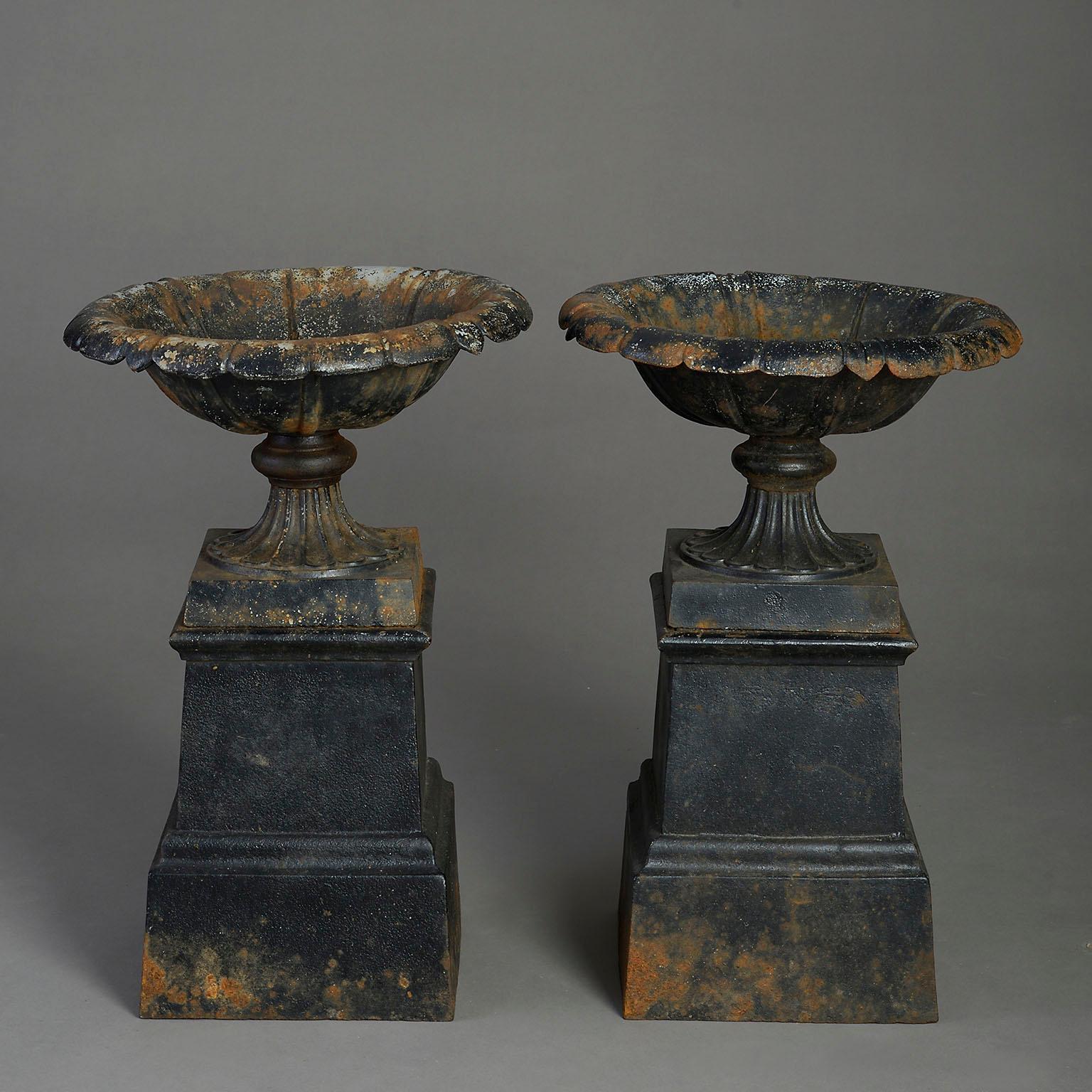 Victorian Pair of Mid-19th Century Cast Iron Tazze For Sale