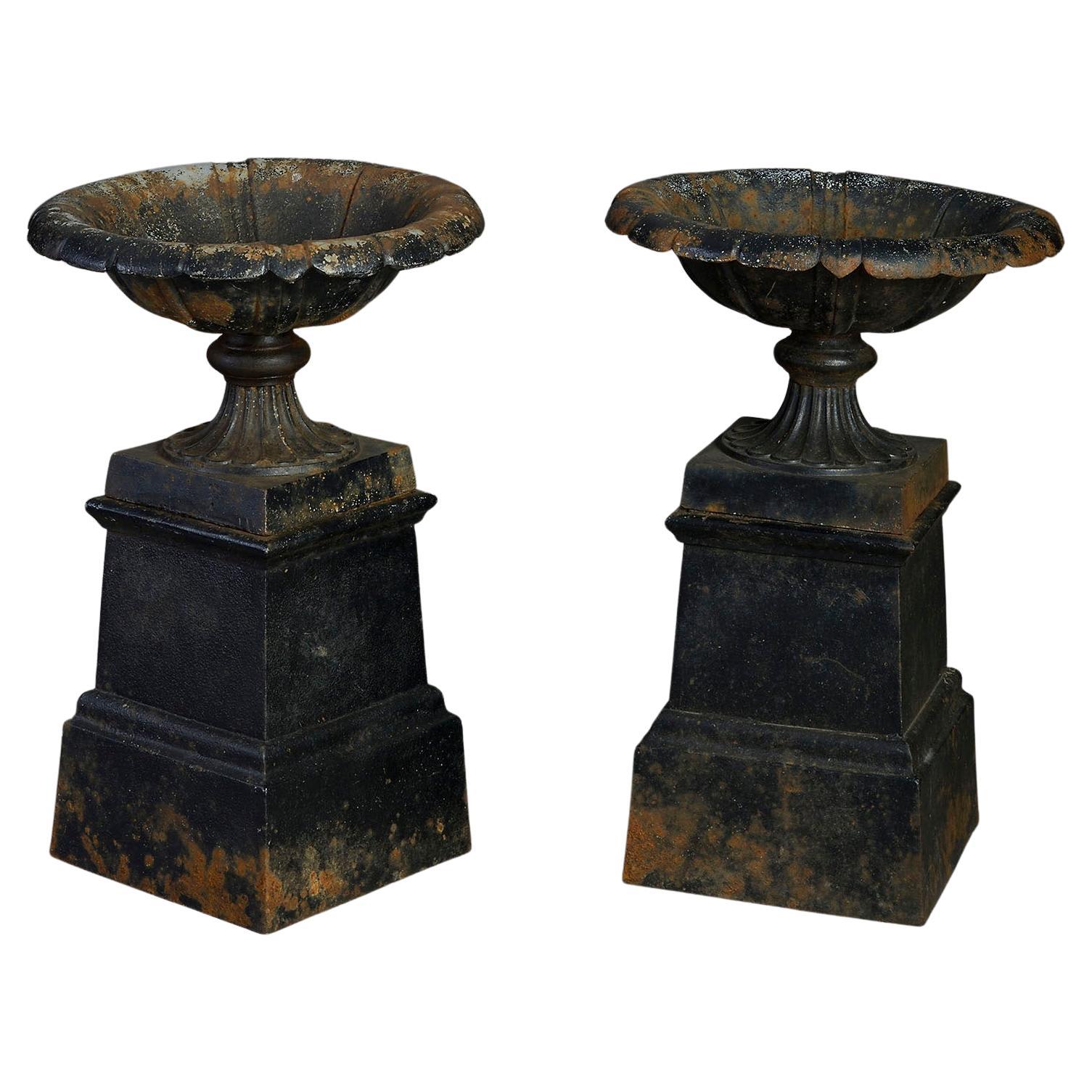 Pair of Mid-19th Century Cast Iron Tazze For Sale