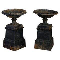 Antique Pair of Mid-19th Century Cast Iron Tazze