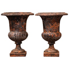 Pair of Mid-19th Century French Weathered Iron Medici Vases