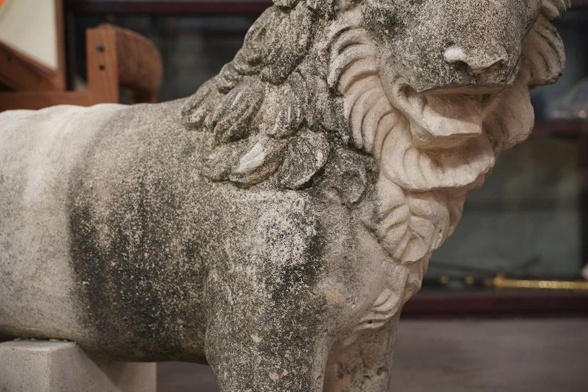 Pair of 19th century French sandstone lion fragments. Well carved and with very endearing features. Though fragmentary, these lions present as important sculptures of the period. Large scale.