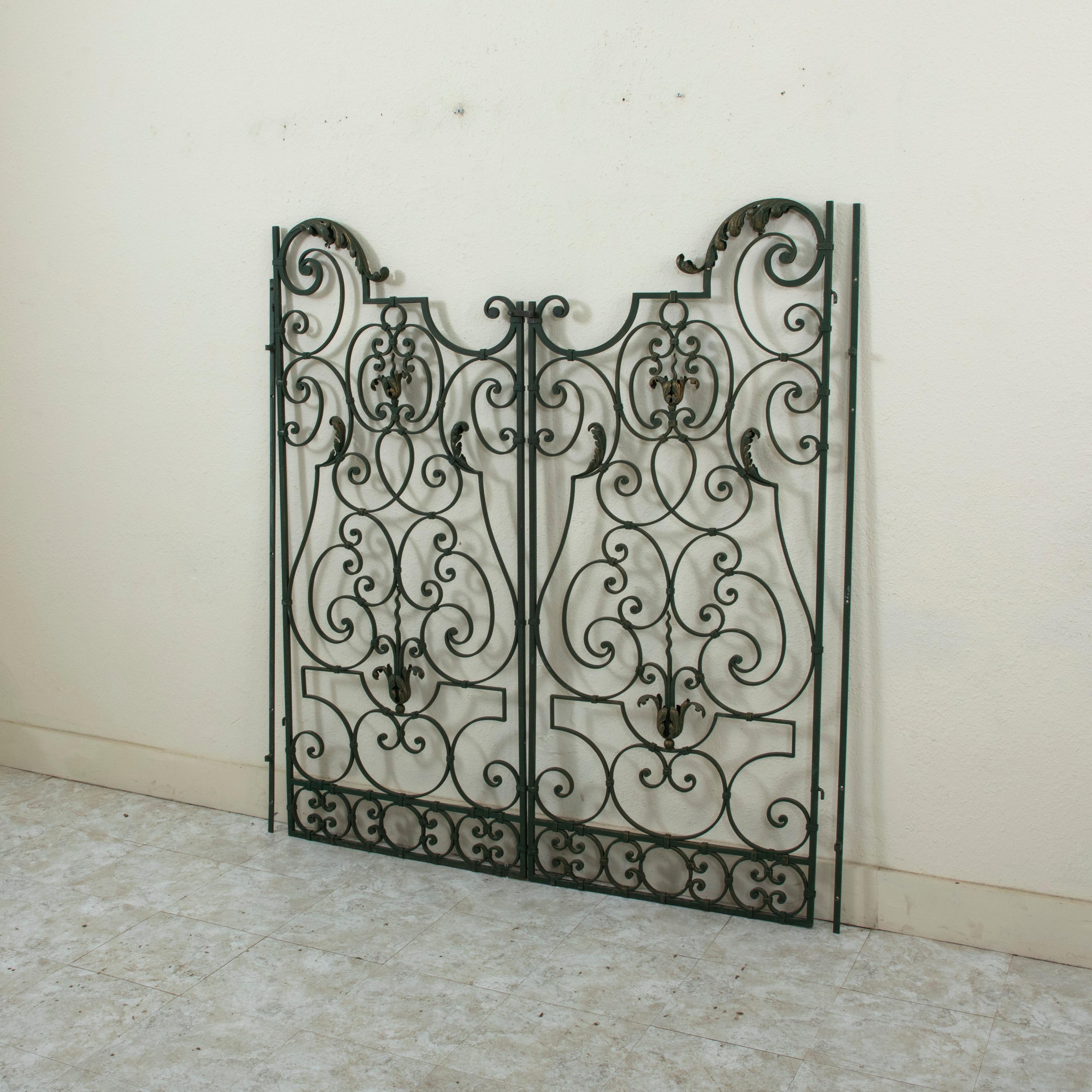 This pair of mid twentieth century French artisan made wrought iron gates features intricate scrolling and gold detailing of acanthus leaves. Ready to make an impressive entryway into the garden, these gates hang from two iron side rails that may be