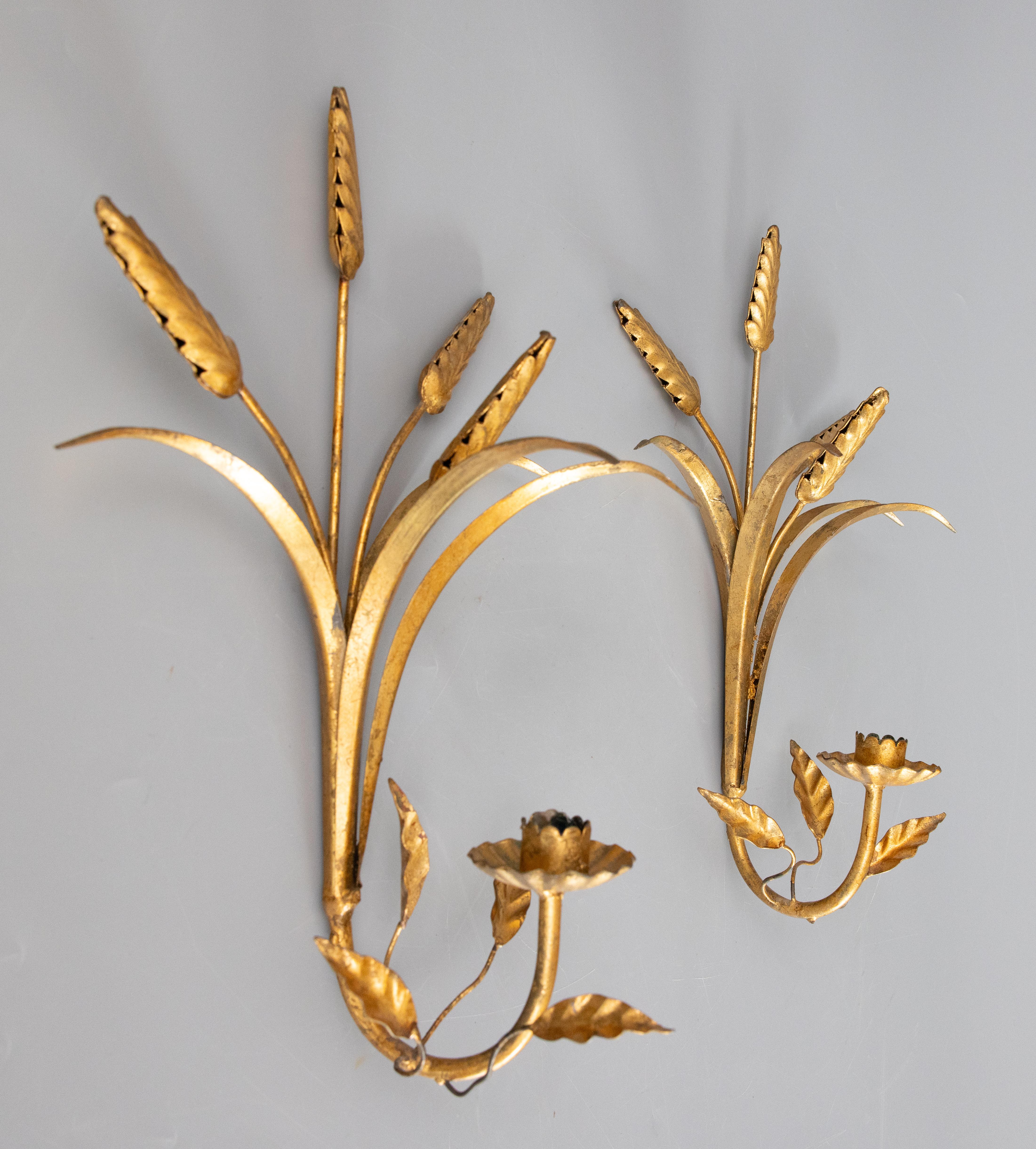 A gorgeous Mid-20th Century pair of Italian gilded tole wheat single arm wall candle sconces. These stunning sconces have scrolling wheat sheaves and leaves in a lovely gilt patina. They would make a fabulous addition to any room. Metal loop hanger