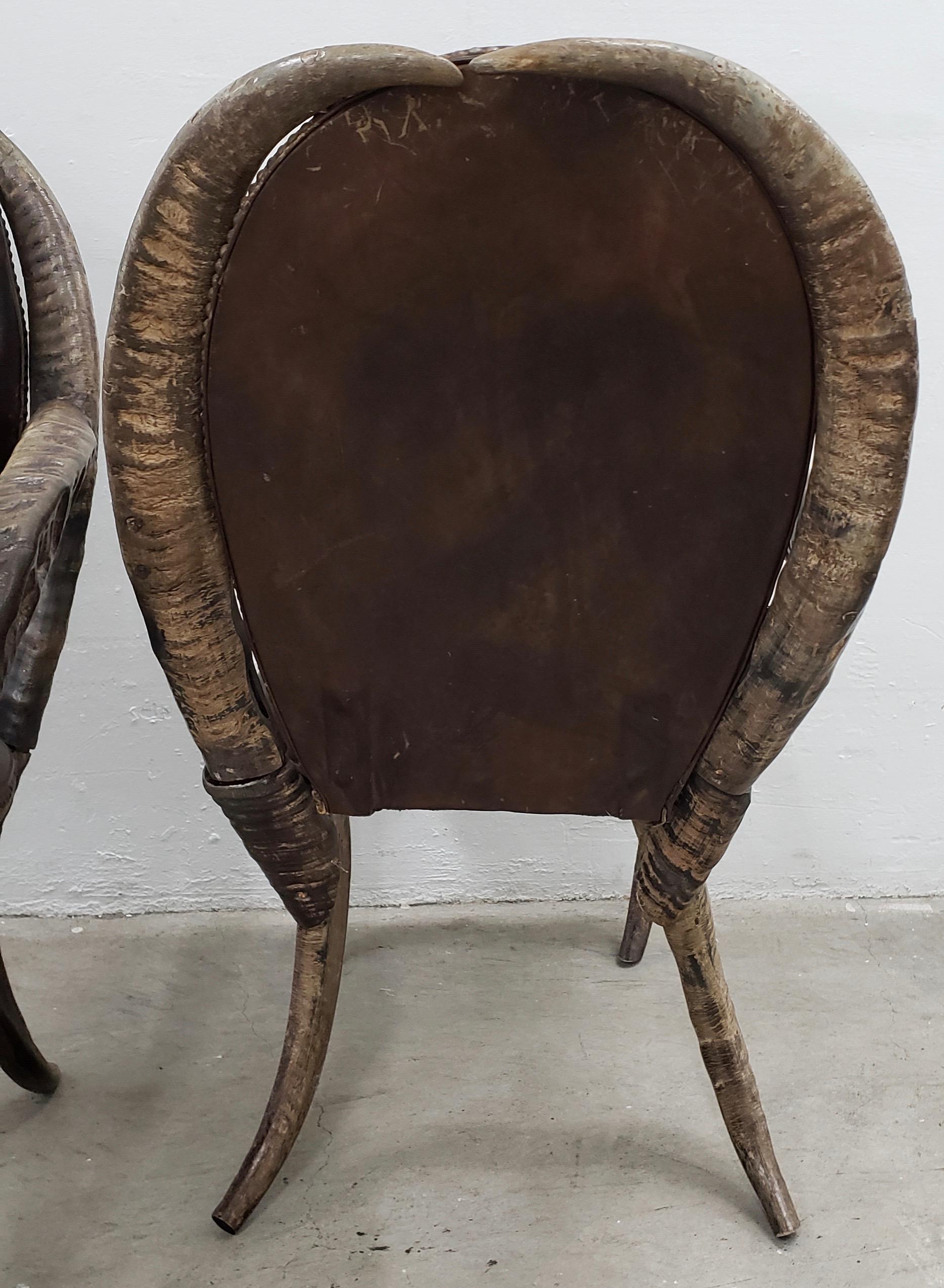 Pair of Mid-20th Century Water Buffalo Horn and Leather Armchairs 1