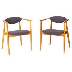 Dining Room Chairs