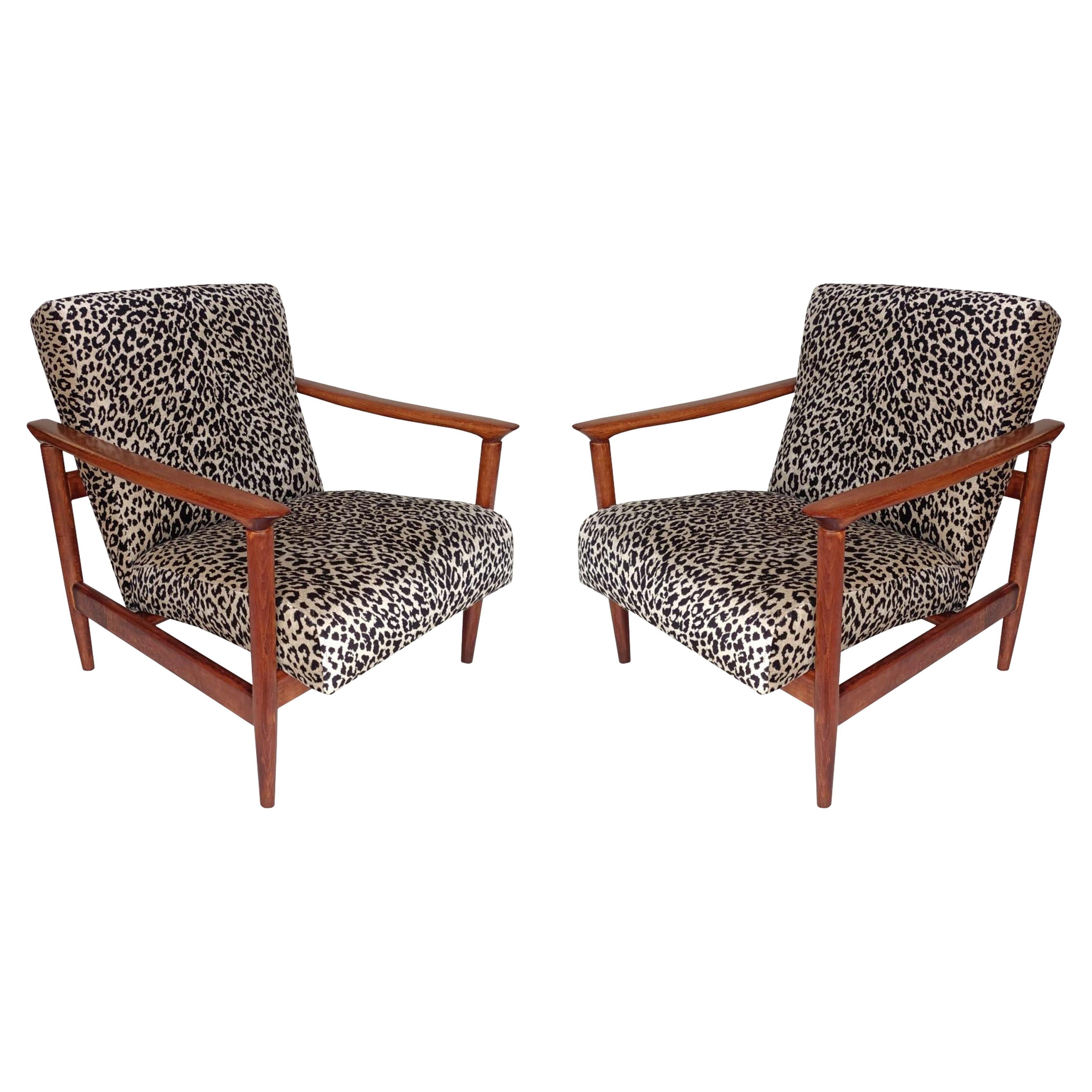 Coppia di poltrone leopardate beige di metà secolo, GFM 142, Edmund Homa, anni 
60