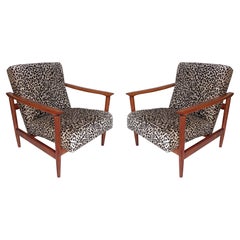 Coppia di poltrone leopardate beige di metà secolo, GFM 142, Edmund Homa, anni '60