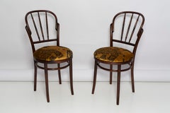 Pair of Mid Century Beige Tiger Dedar Chairs, Fameg Factory, Poland, 1960s