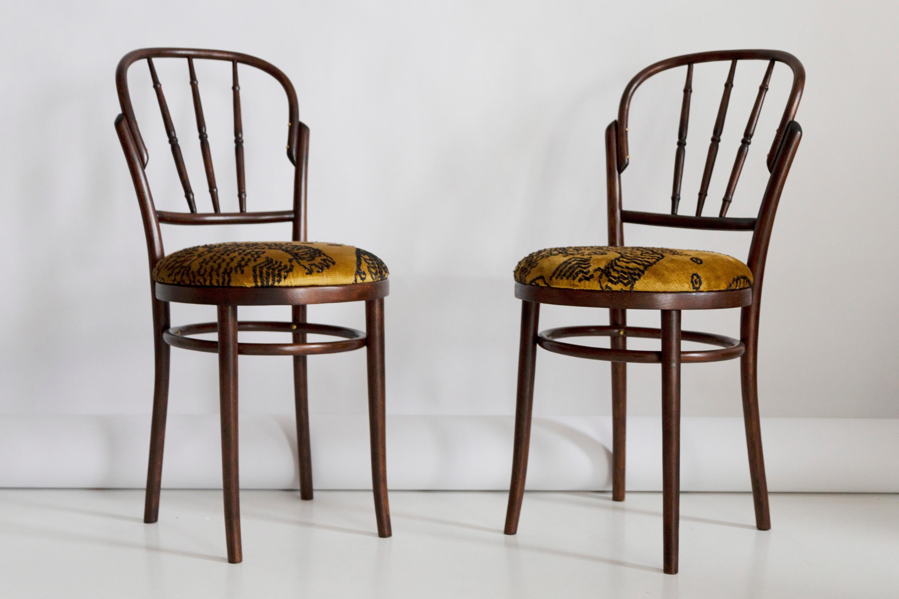 Pair of Mid Century Beige Tiger Dedar Chairs, Fameg Factory, Poland, 1960s In Excellent Condition For Sale In 05-080 Hornowek, PL