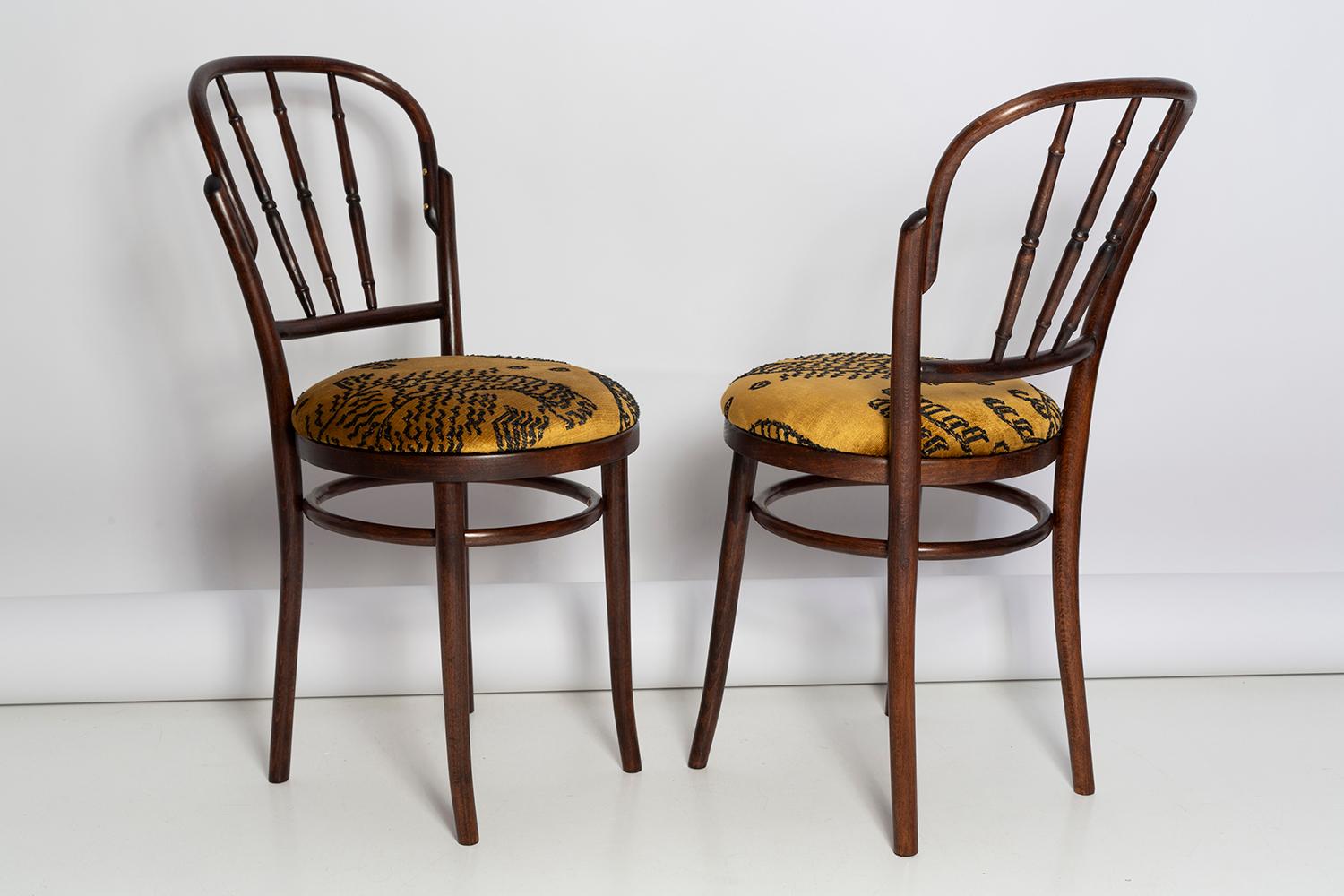 Textile Pair of Mid Century Beige Tiger Dedar Chairs, Fameg Factory, Poland, 1960s For Sale