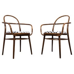 Coppia di poltrone in legno curvato del Mid Century di Radomír Hofman per Thonet/TON