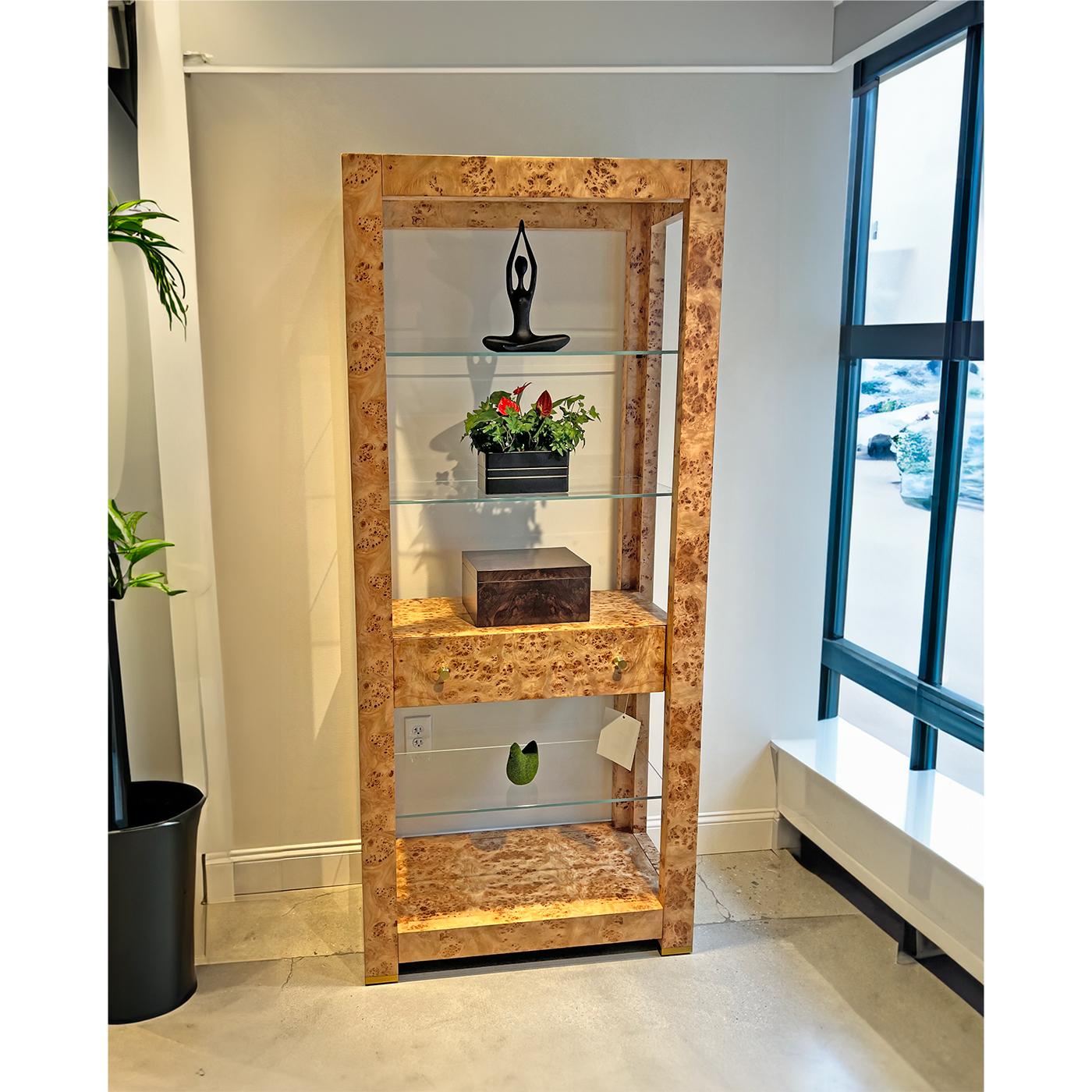 Crafted from stunning mappa burl wood, this piece is both a functional storage solution and a statement of timeless elegance.

The rich, natural burl pattern adds a unique and luxurious touch to any room. Polished with a clear finish that enhances