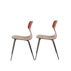 Pair of Mid-Century Chairs Designed by Adam Stegner for Pagholz, Germany, 1960