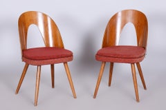 Pair of Mid-Century Chairs Designed by Antonin Suman, 1950s, Czechia