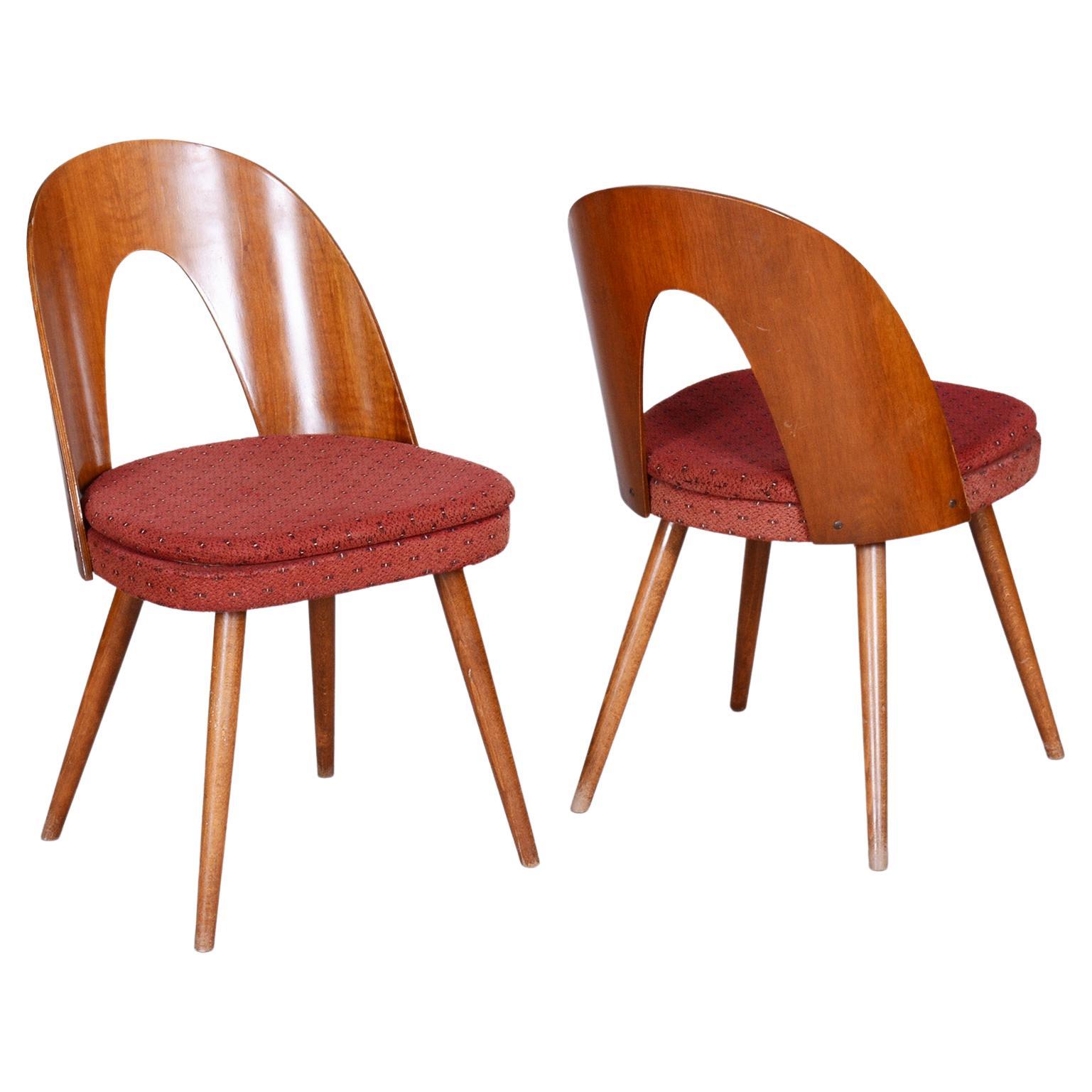 Paire de chaises du milieu du siècle conçues par Antonín Šuman, années 1950, République tchèque