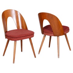 Retro Pair of Mid-Century Chairs Designed by Antonin Suman, 1950s, Czechia