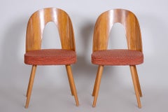 Pair of Mid Century Chairs Made in 1950s Czechia, Designed by Antonín Šuman