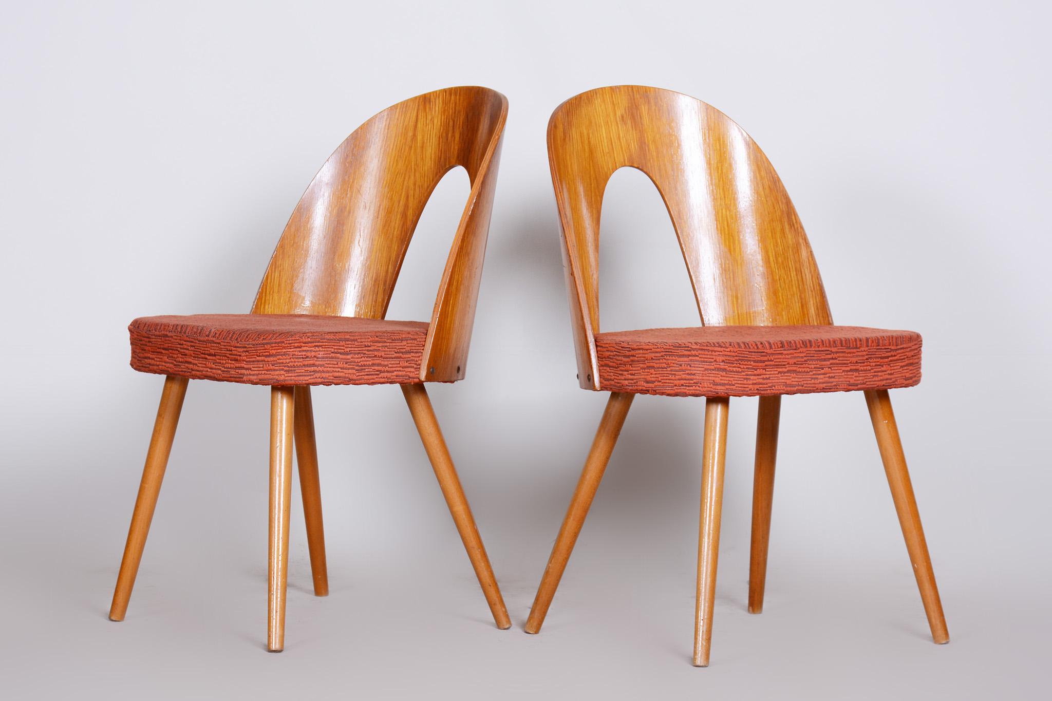 Paire de chaises du milieu du siècle fabriquées dans la Tchécoslovaquie des années 1950, designées par Antonín Šuman Bon état - En vente à Horomerice, CZ