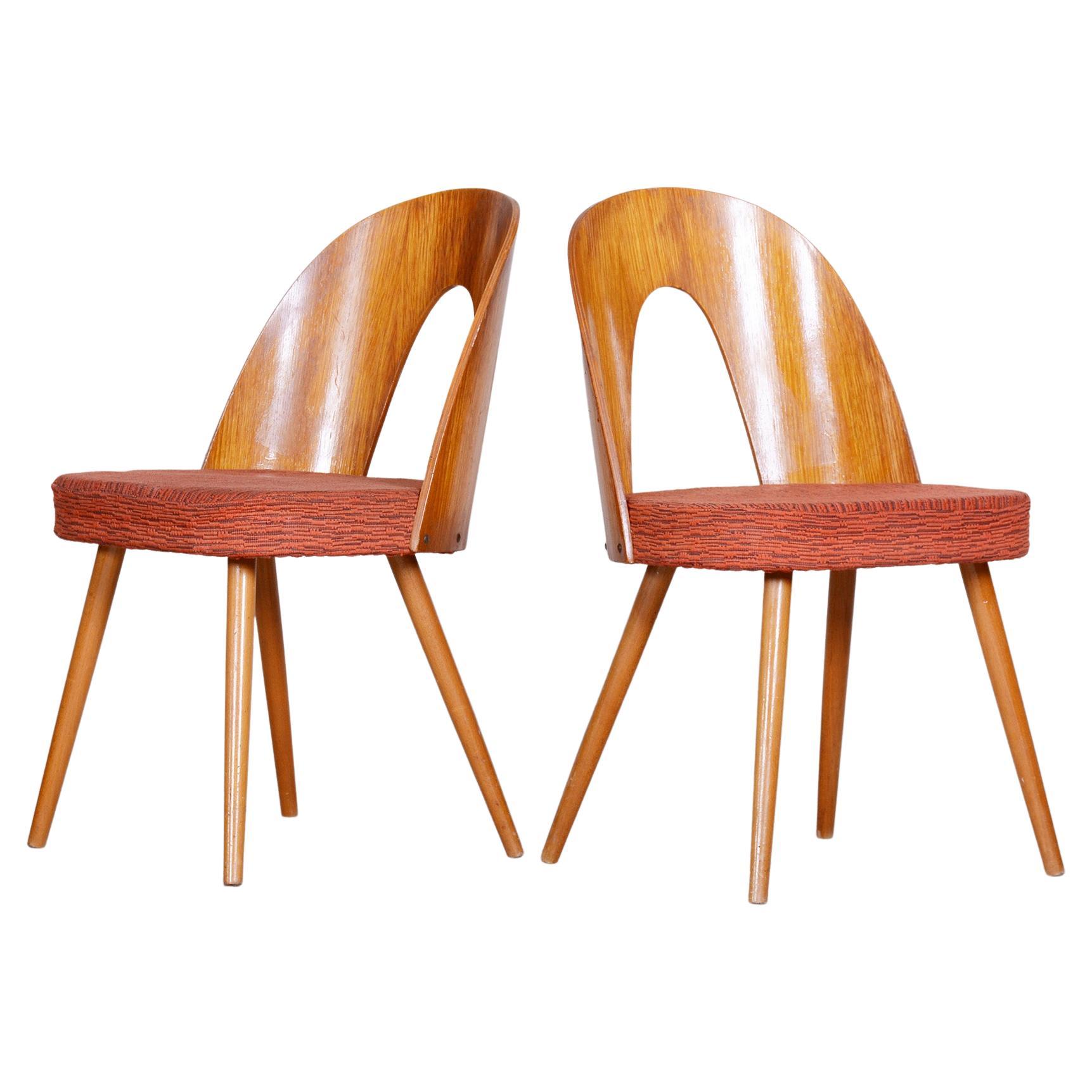 Paire de chaises du milieu du siècle fabriquées dans la Tchécoslovaquie des années 1950, designées par Antonín Šuman