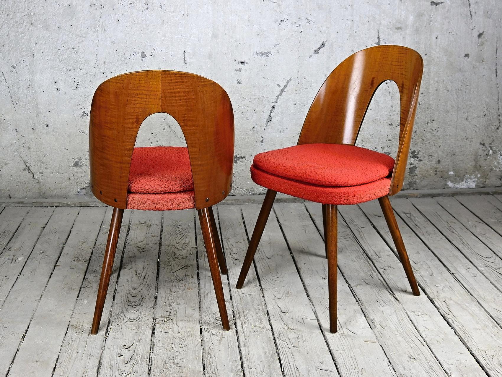 Czech Pair of Mid Century Dining Chairs by Antonín Šuman for Tatra Nabytok NP, 1960s