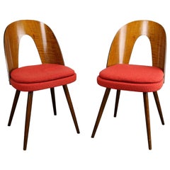 Pair of Mid Century Dining Chairs by Antonín Šuman for Tatra Nabytok NP, 1960s