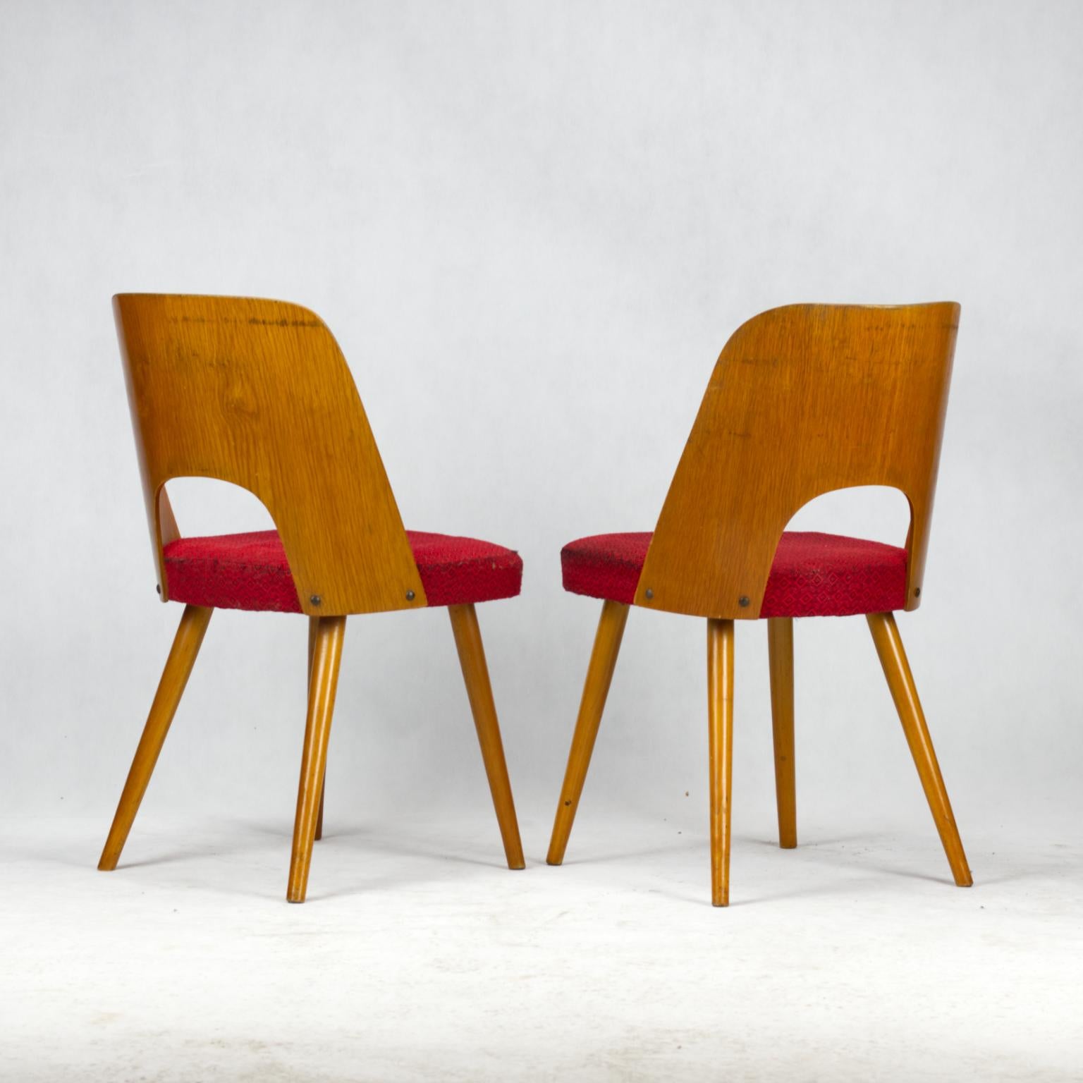 Czech Pair of Mid Century Dining Chairs by Oswald Haerdtl for Ton, 1950s