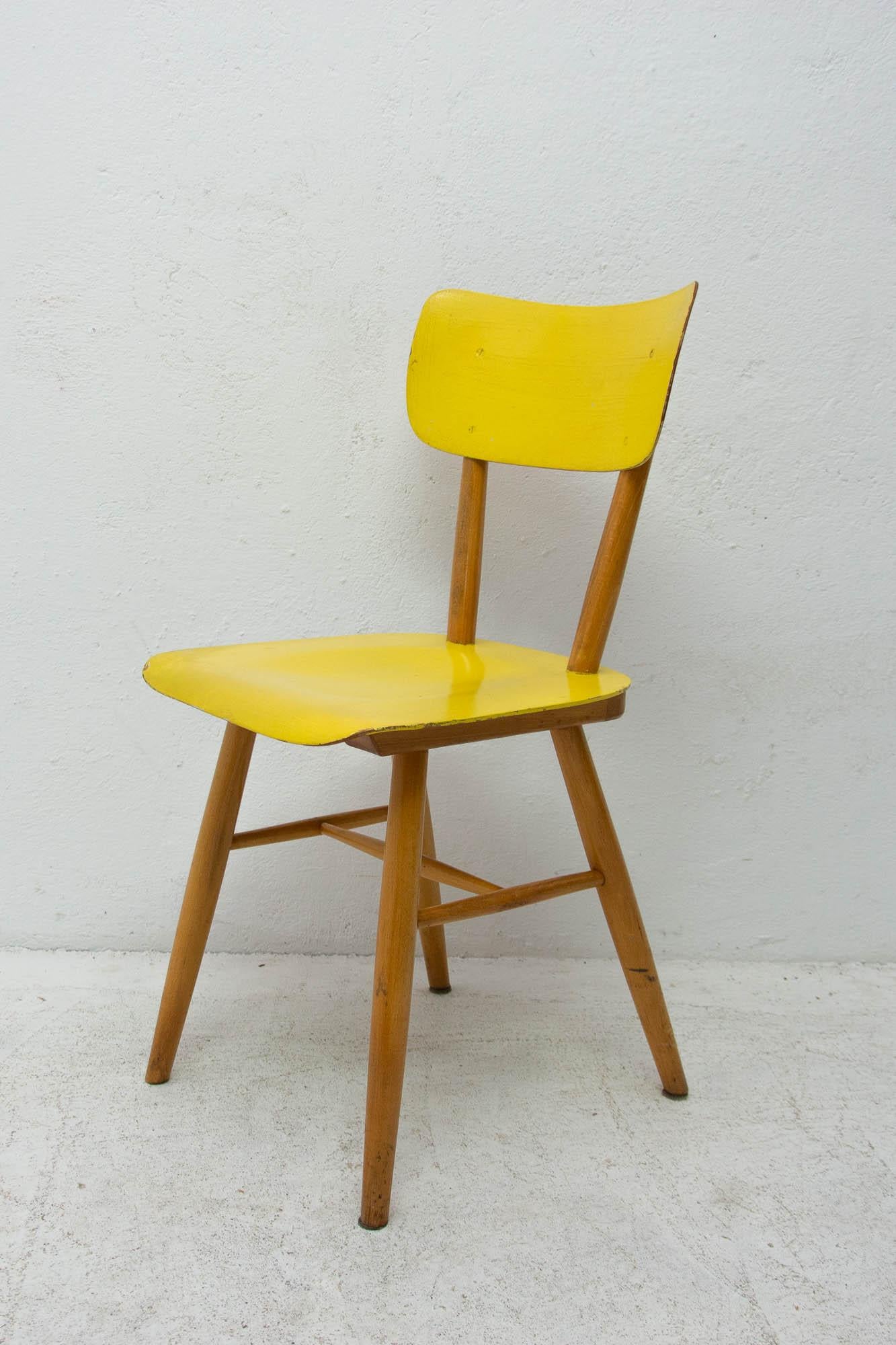 Pair of Midcentury Dining Chairs TON, 1960s, Czechoslovakia 6