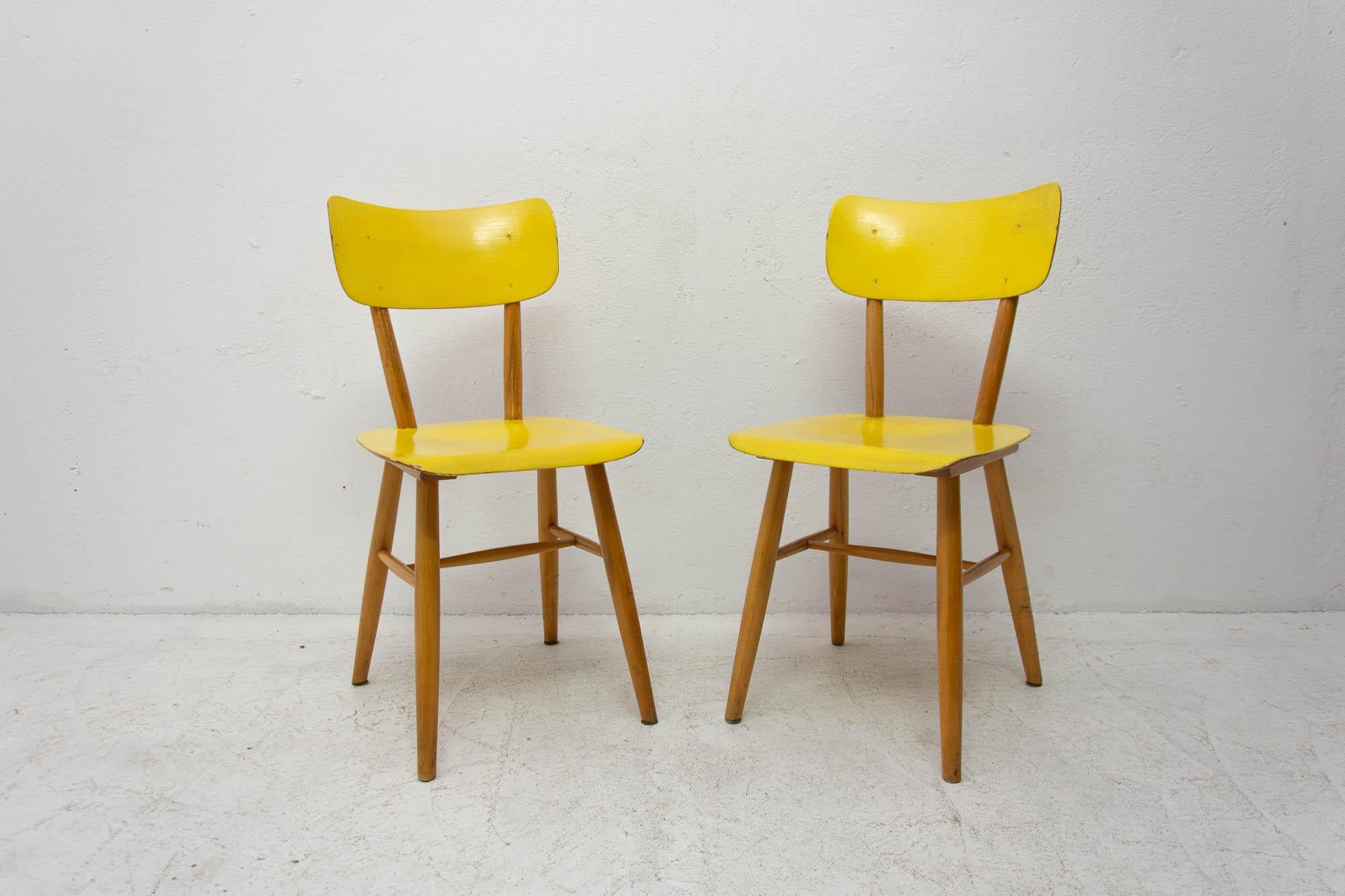 Pair of patinated dining chairs from the 1960s. It was made by TON company in the former Czechoslovakia.

TON company was established as successor to the famous Thonet after World War II in Czechoslovakia and continued the production of bentwood