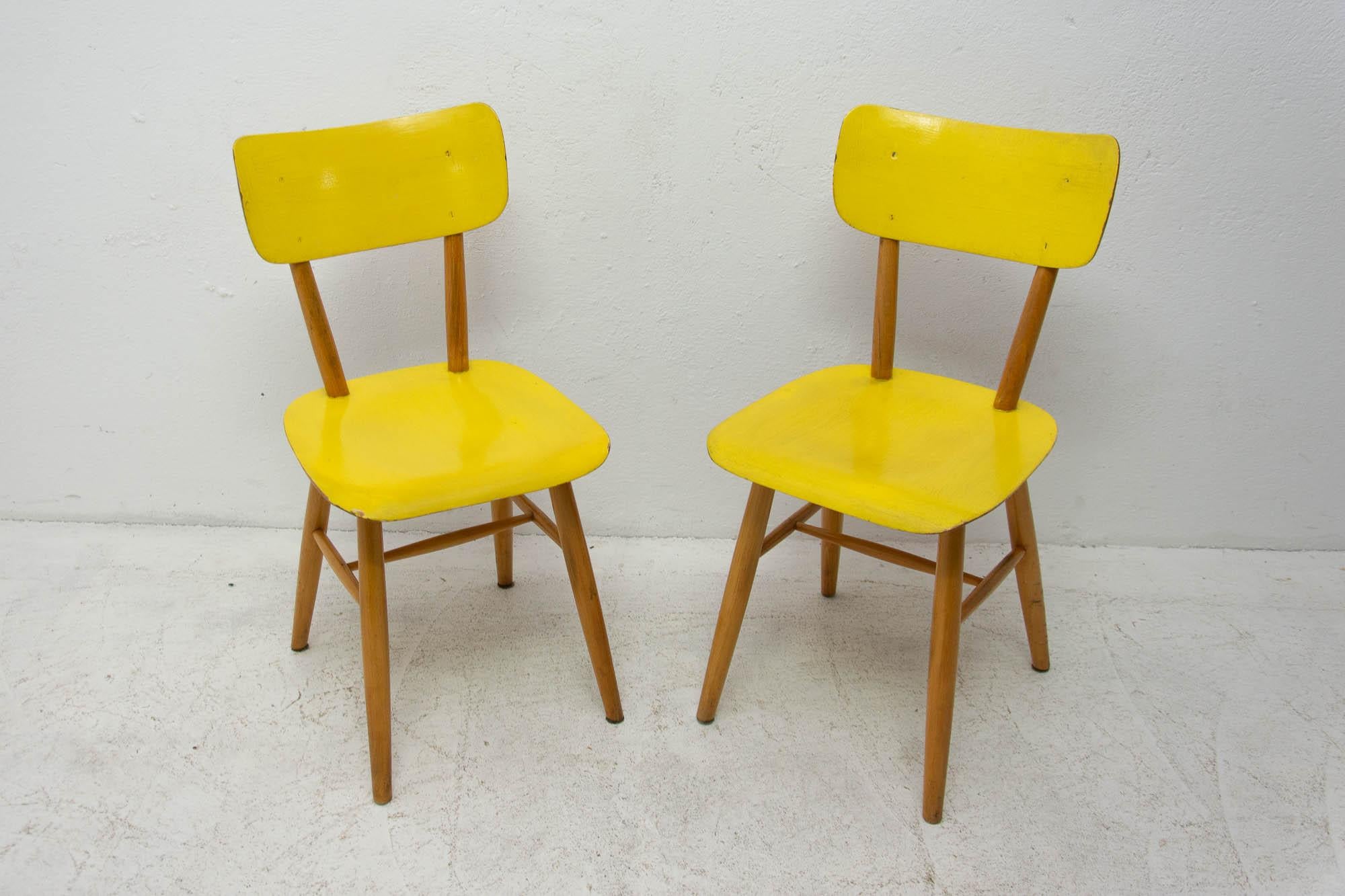 Scandinavian Modern Pair of Midcentury Dining Chairs TON, 1960s, Czechoslovakia